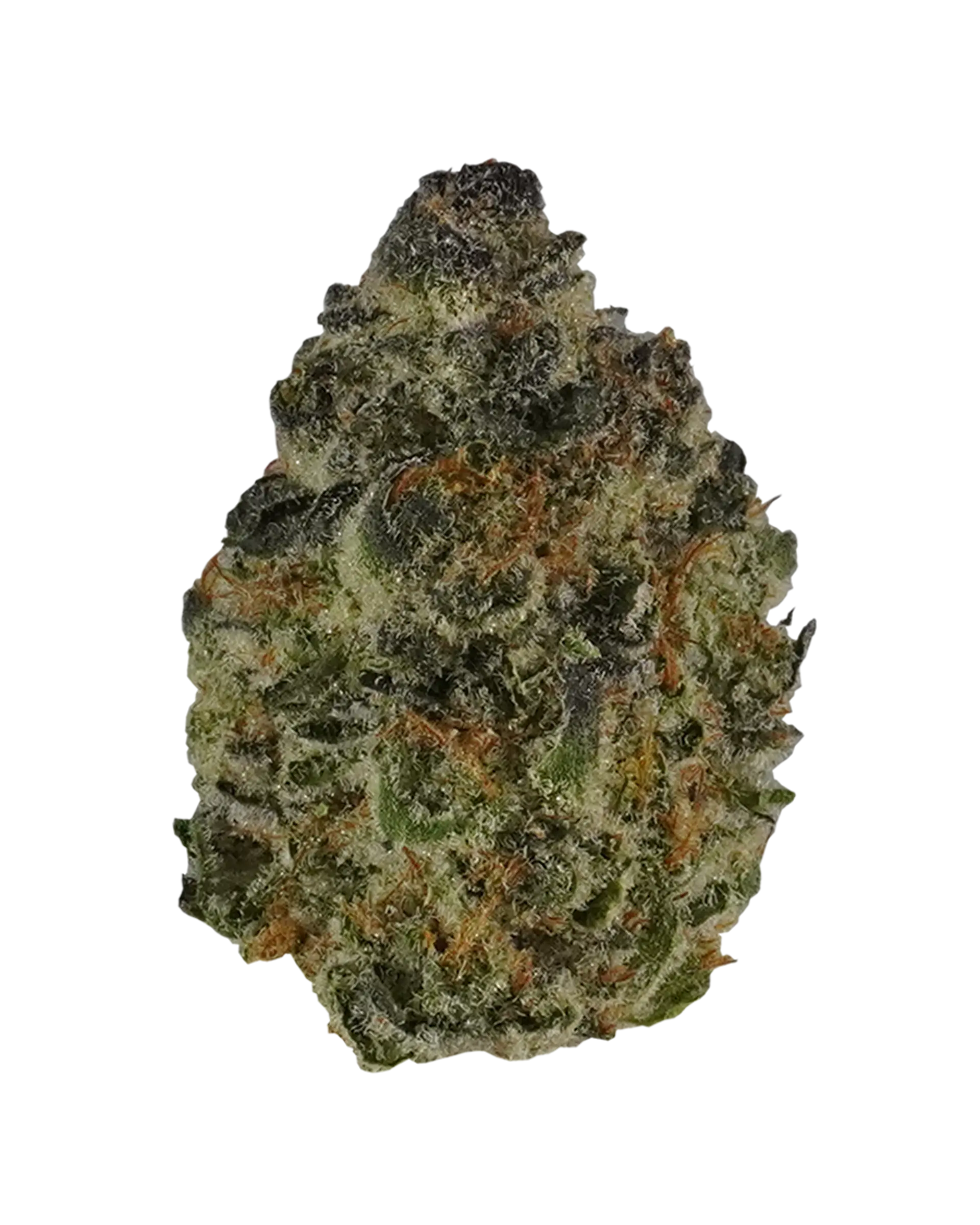 Orange Cannoli Flower