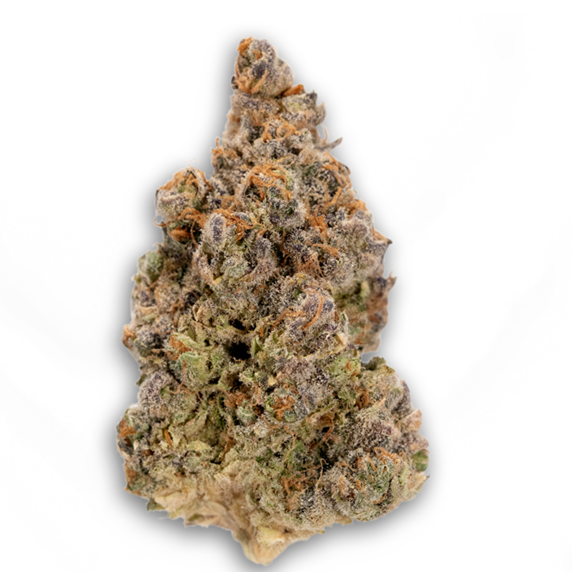 Black Lime Reserve Flower