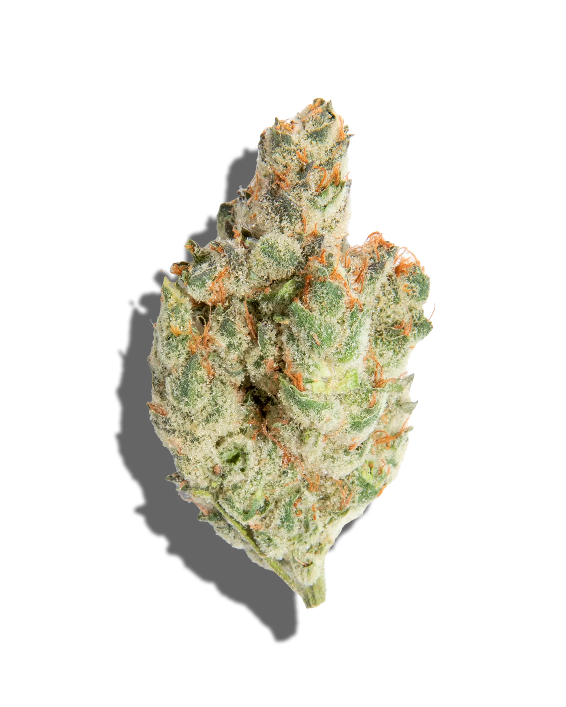 Jokerz #31 Flower