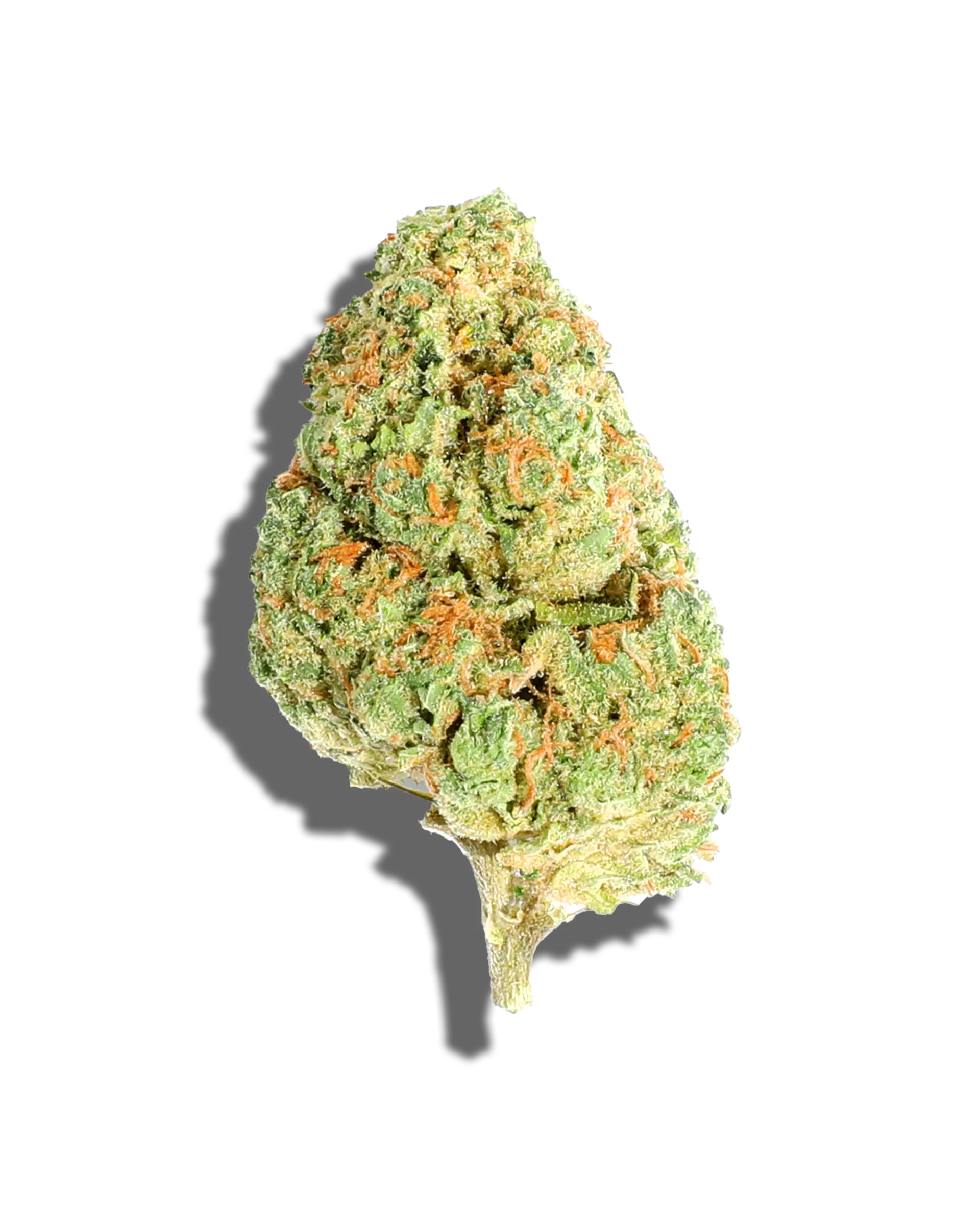 Haley's Comet 3.5g