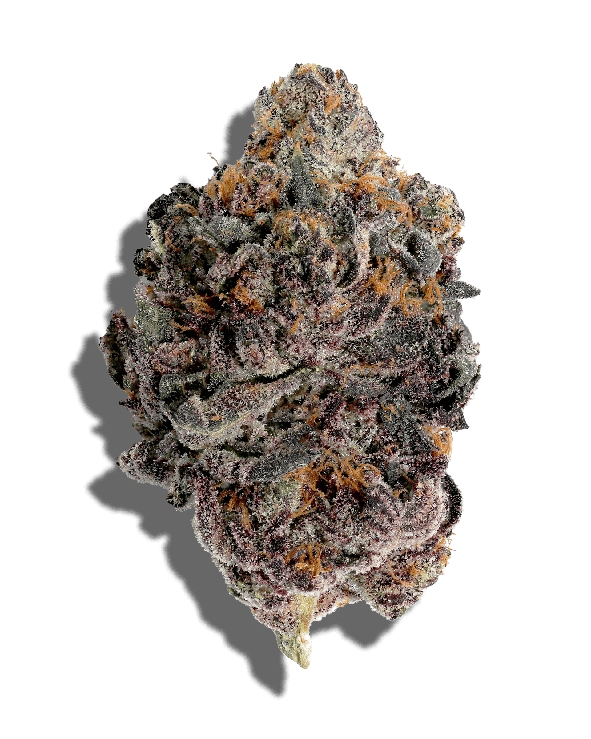 Red Hotz 1oz