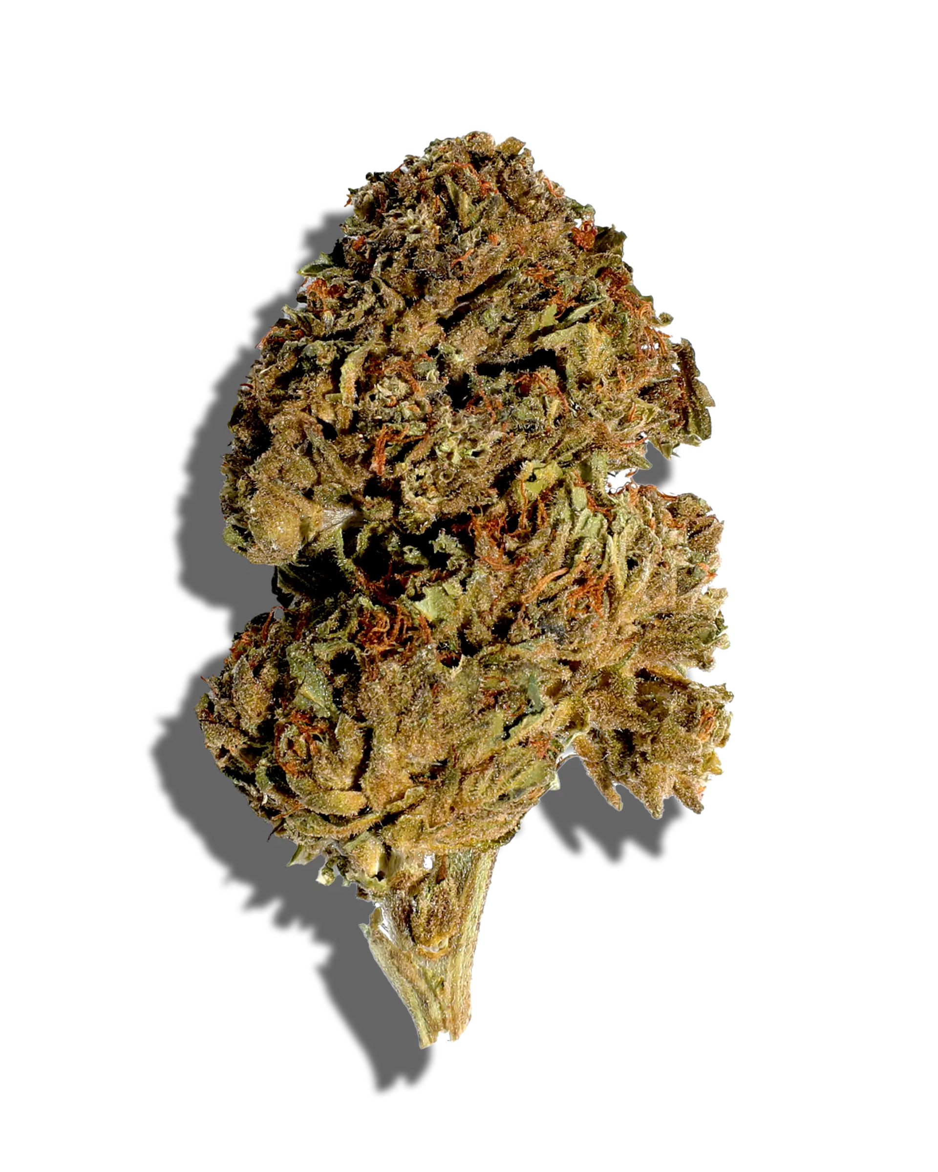 Sungrown Pancake Ice 1oz