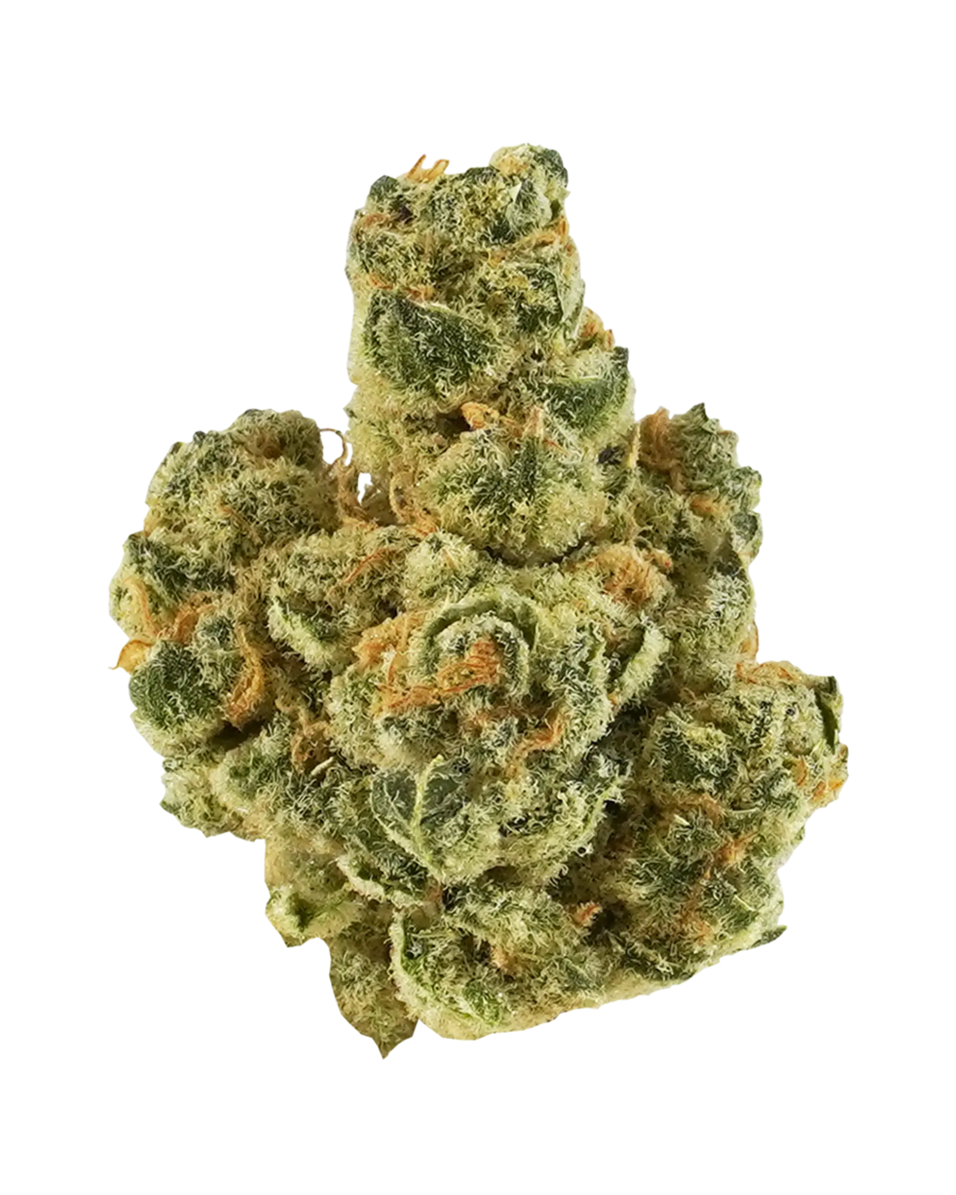 Platinum Punch Flower