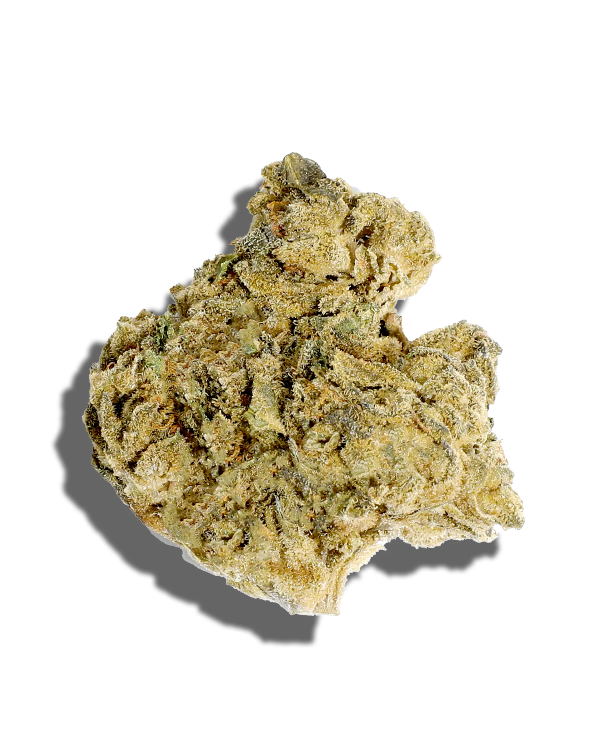 Sungrown White Truffle 1oz