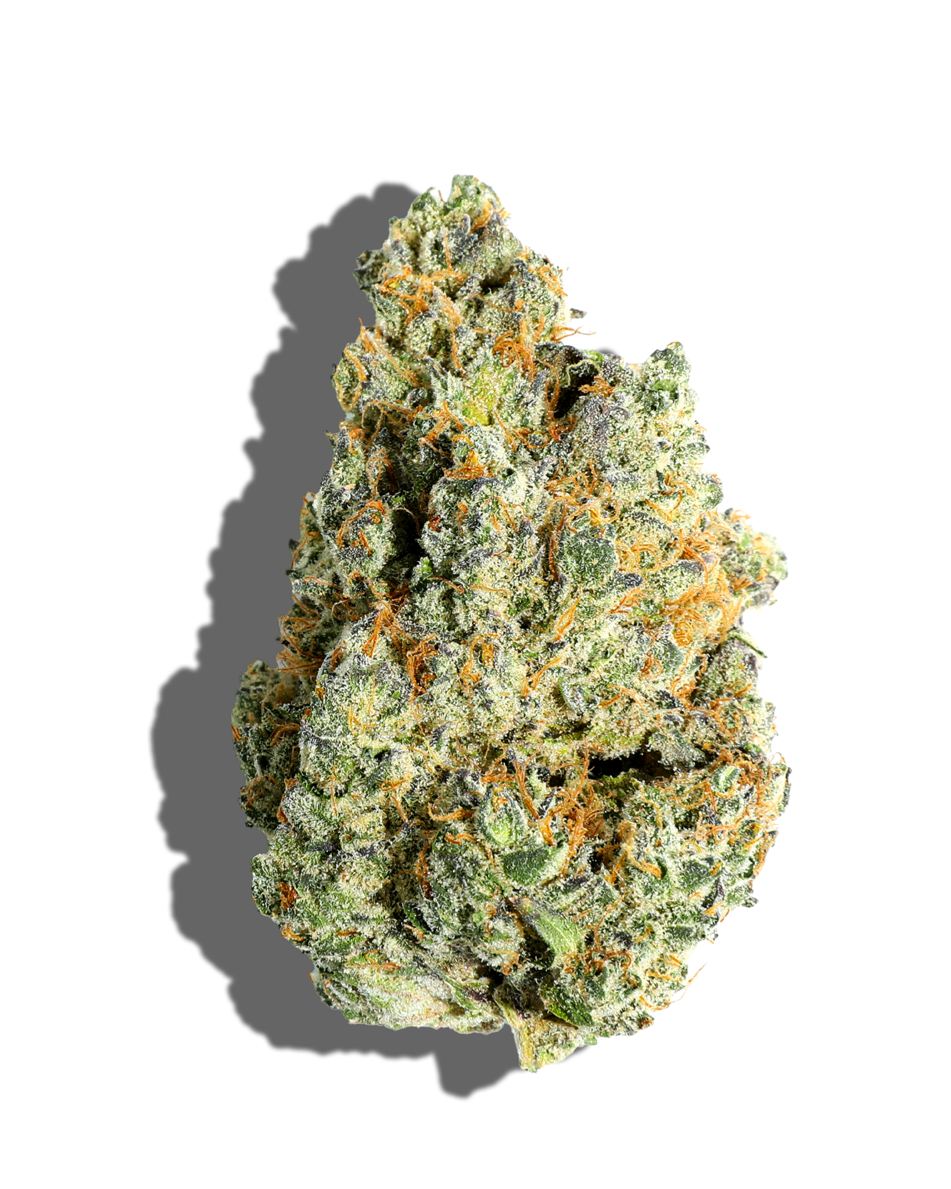 Sweet Sundae Flower