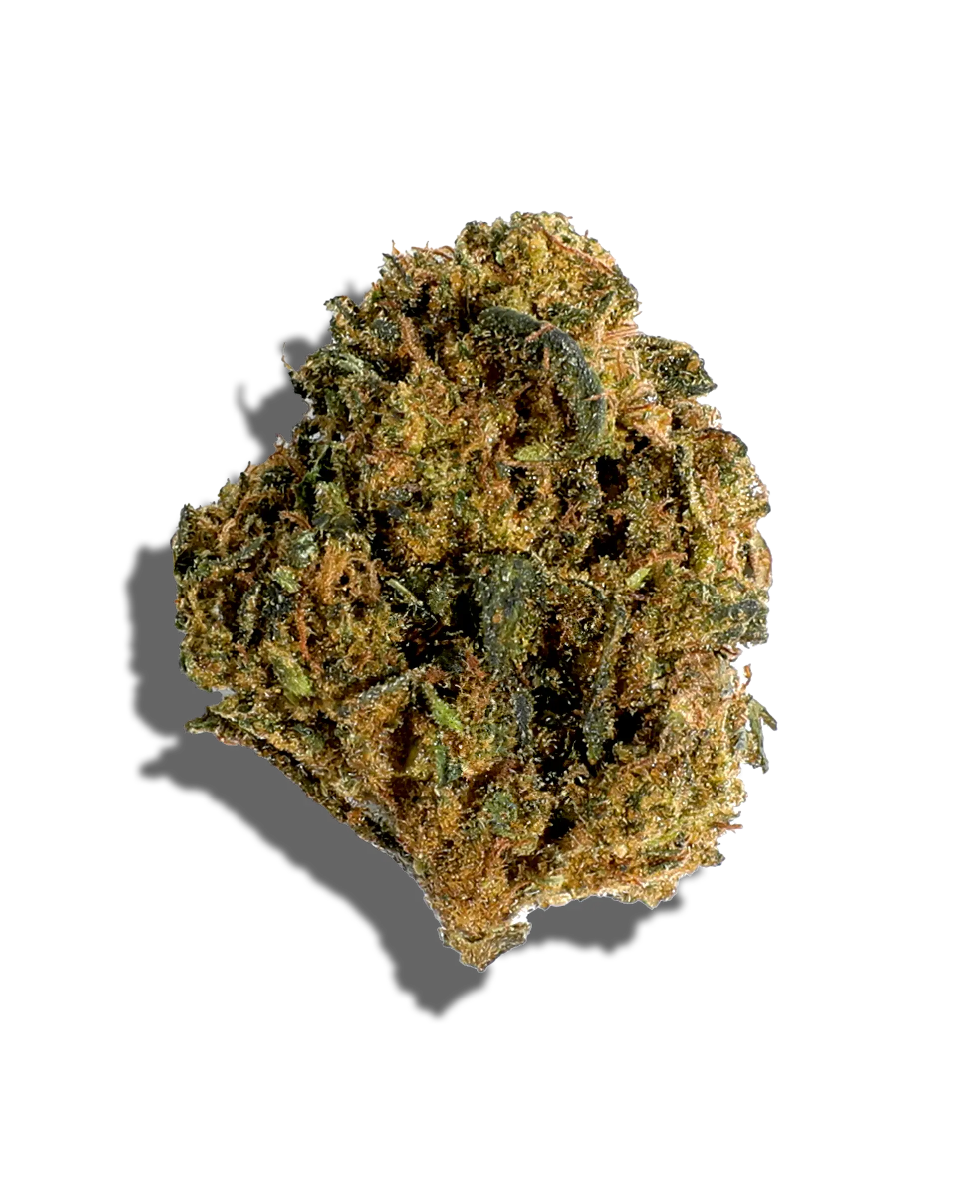 Sungrown Tangie Banangie 1oz