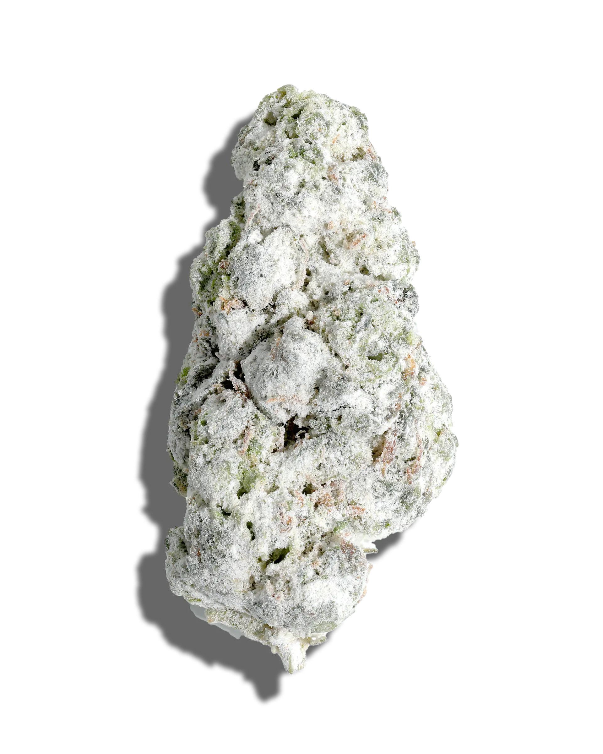 GMO Cookies X Blueberry Bang Bang Amp'd Live Resin Infused Flower 5g