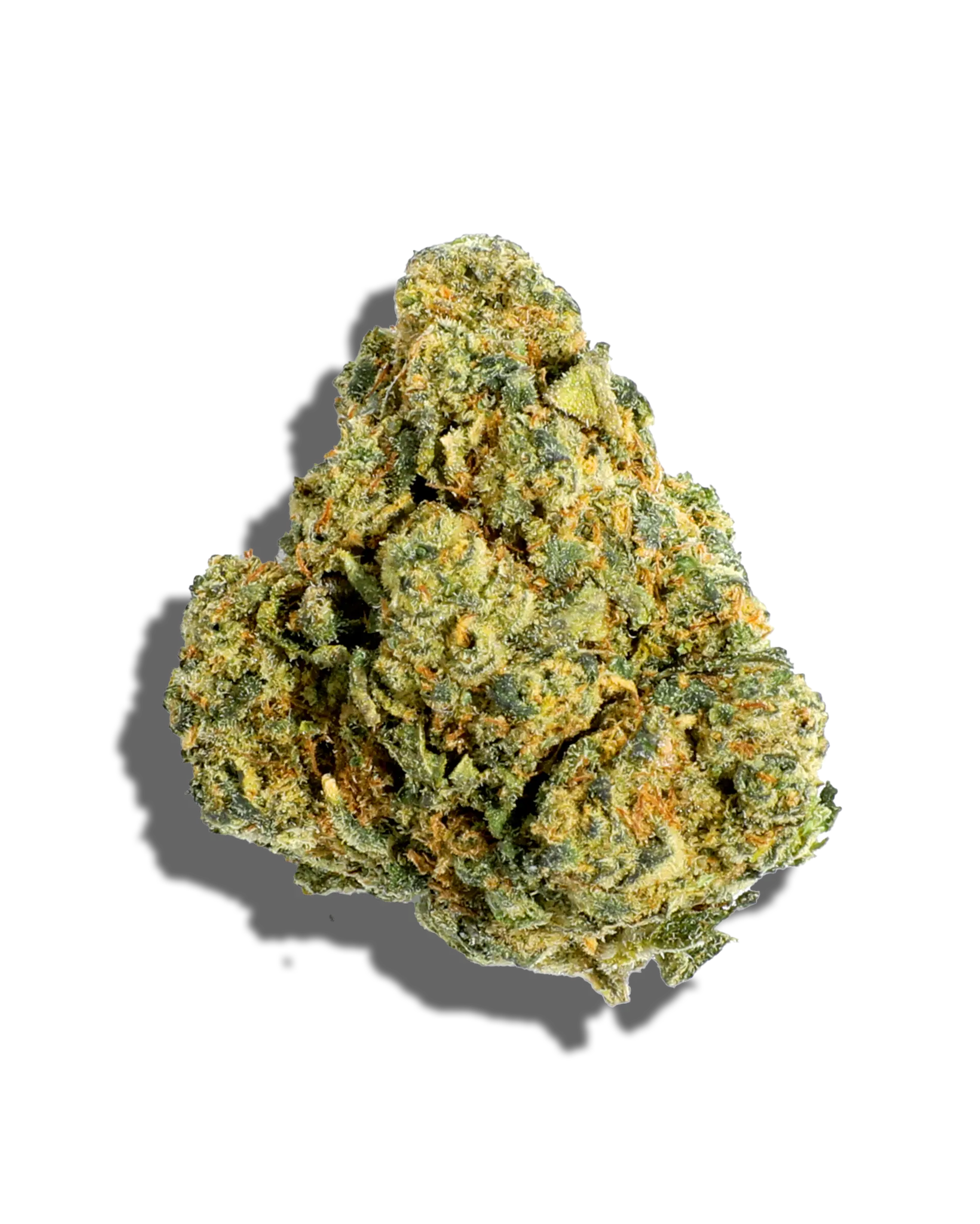 G13 1oz