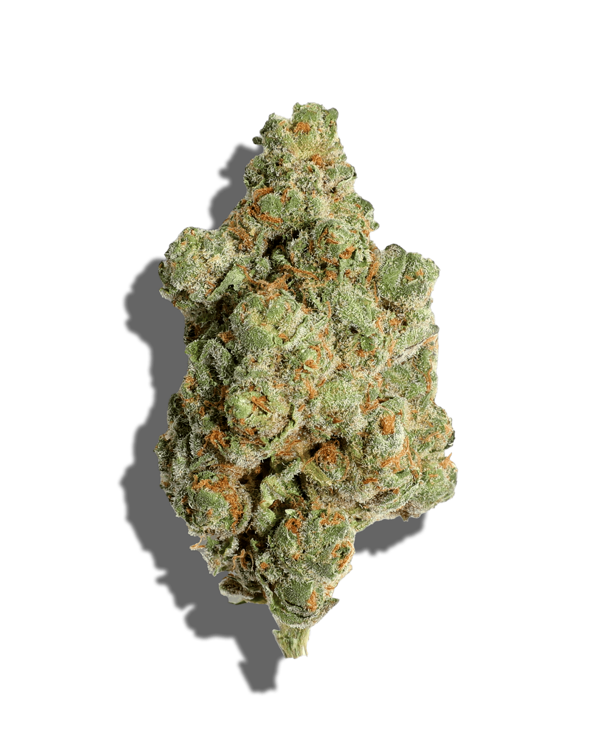Lemon Cherry Gelato 3.5g