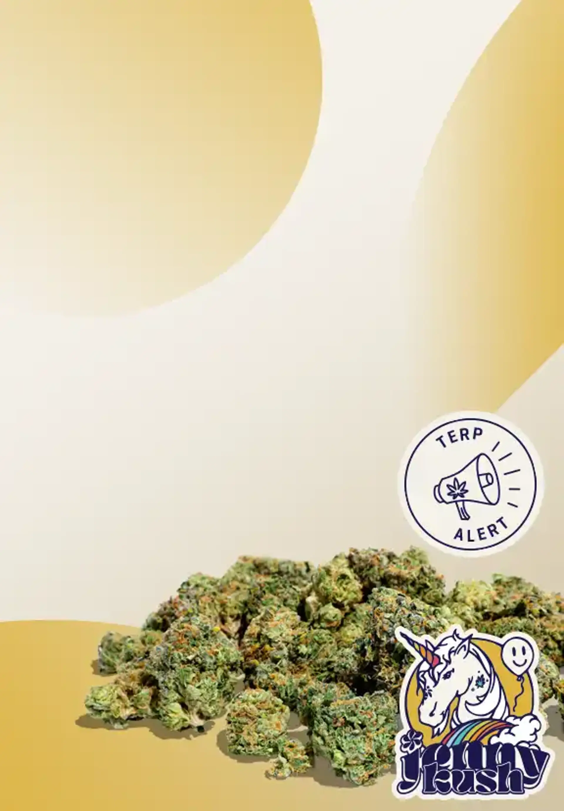 $50 1/4 Oz