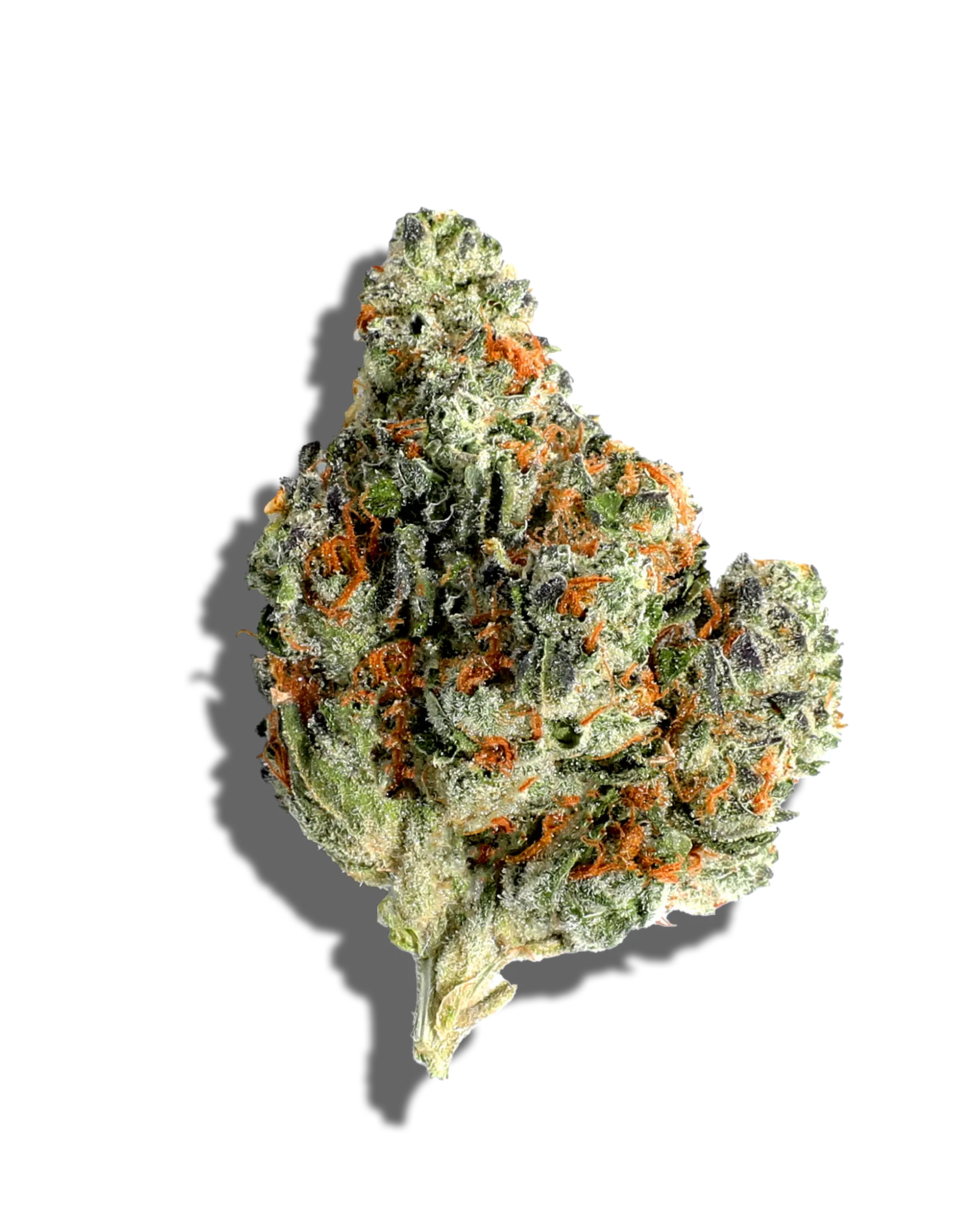 Terp Alert: Jenny's Grape Jelly 3.5g