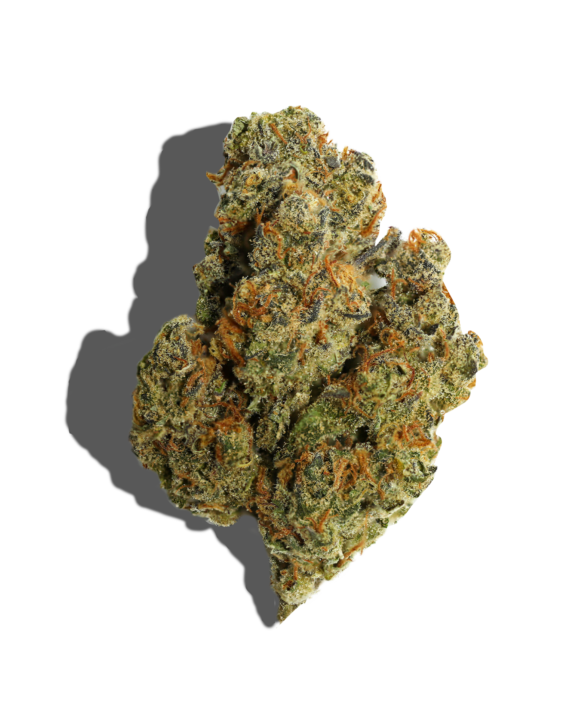 Wizard Snot Flower