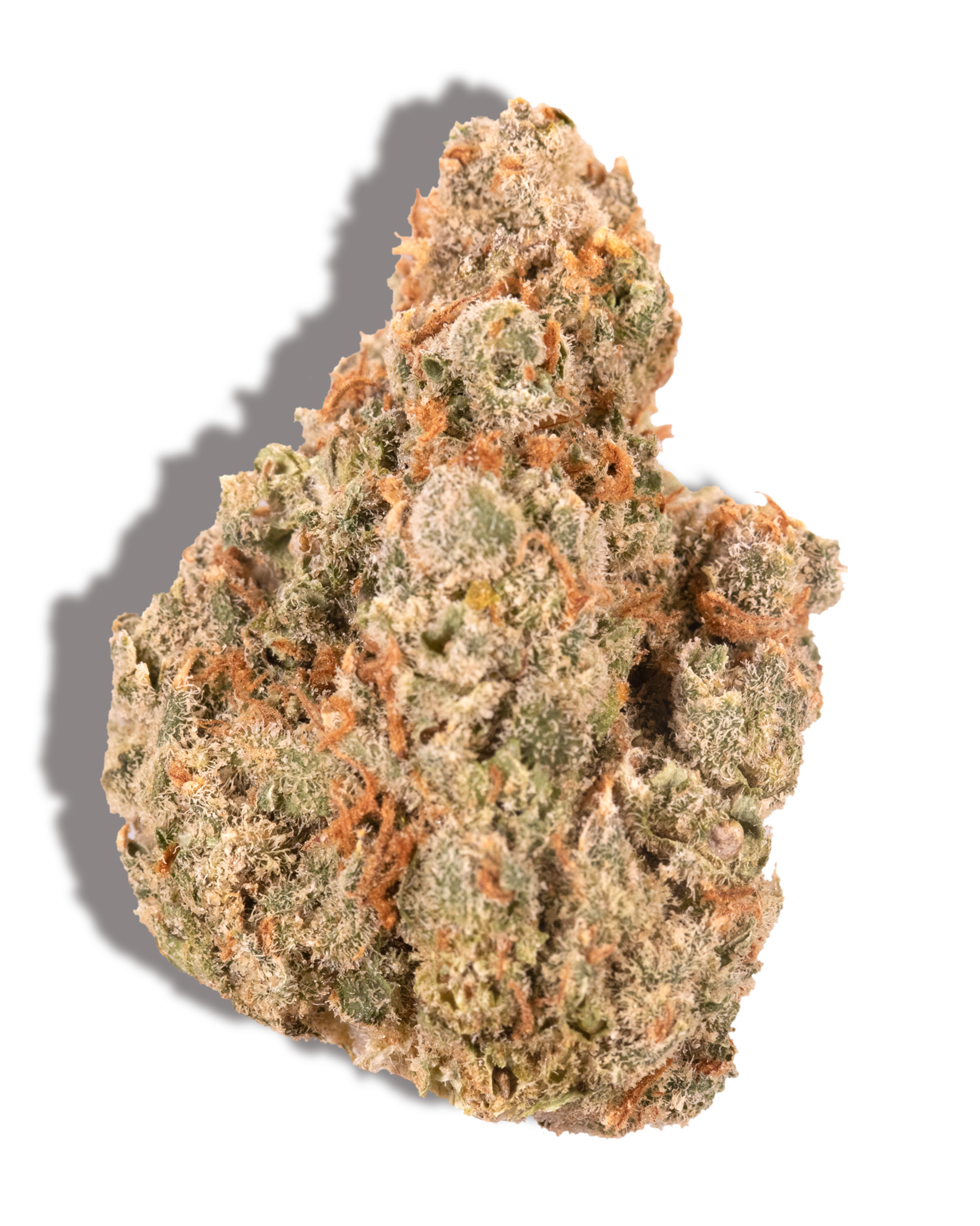 10k Jack Herer Flower