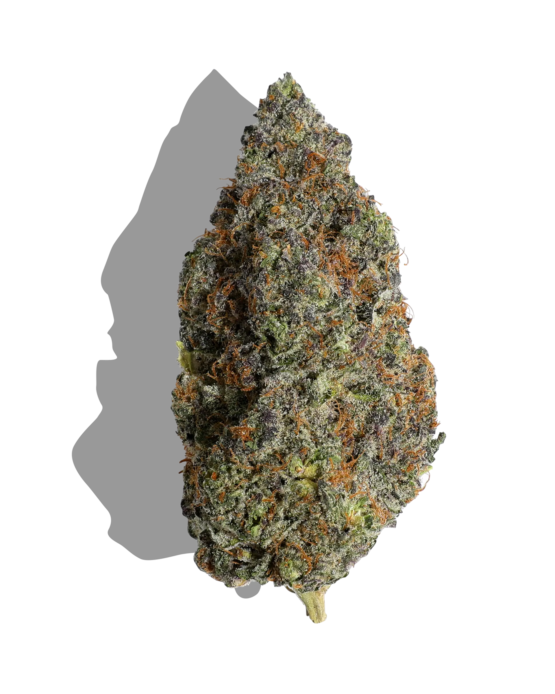 Ice Cream Cake 3.5g