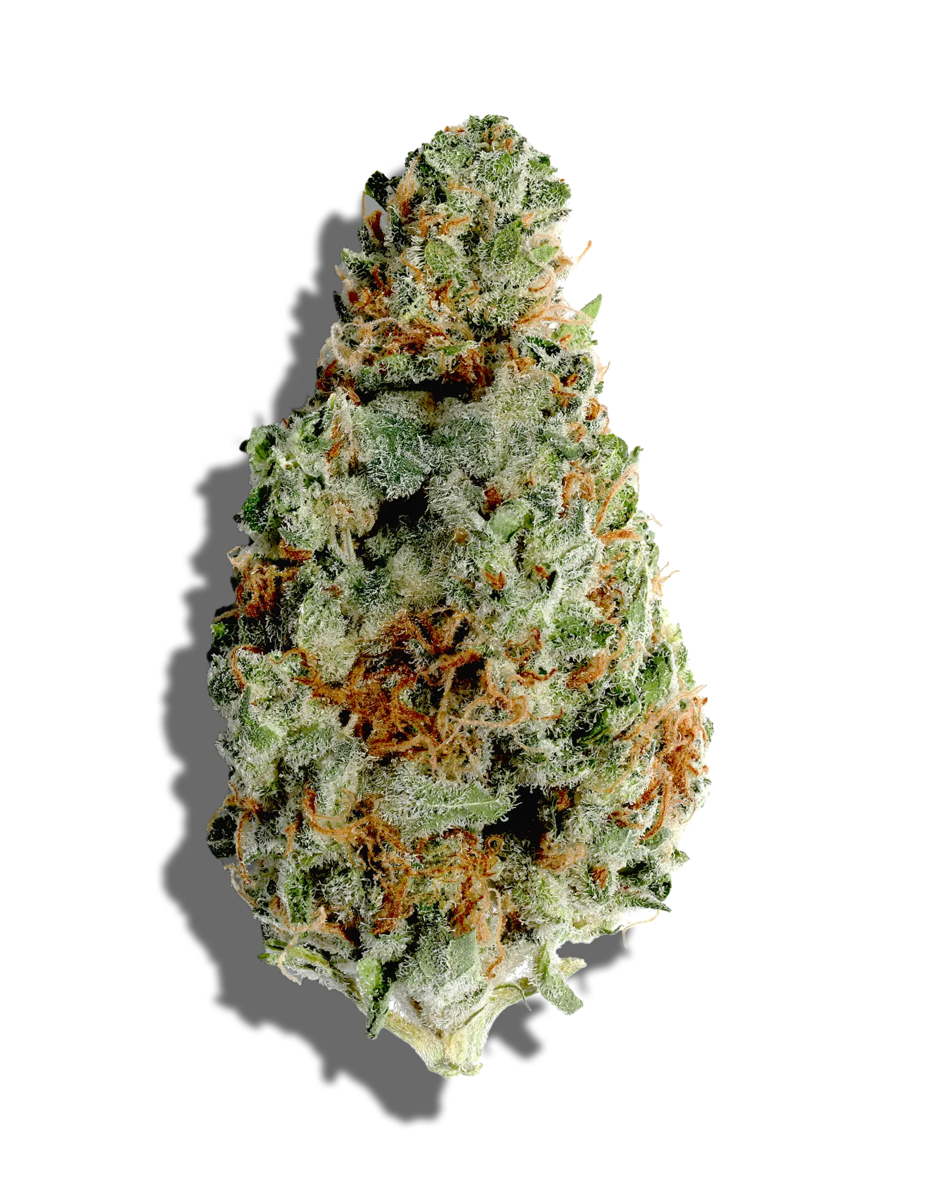 Tamarindo 1oz