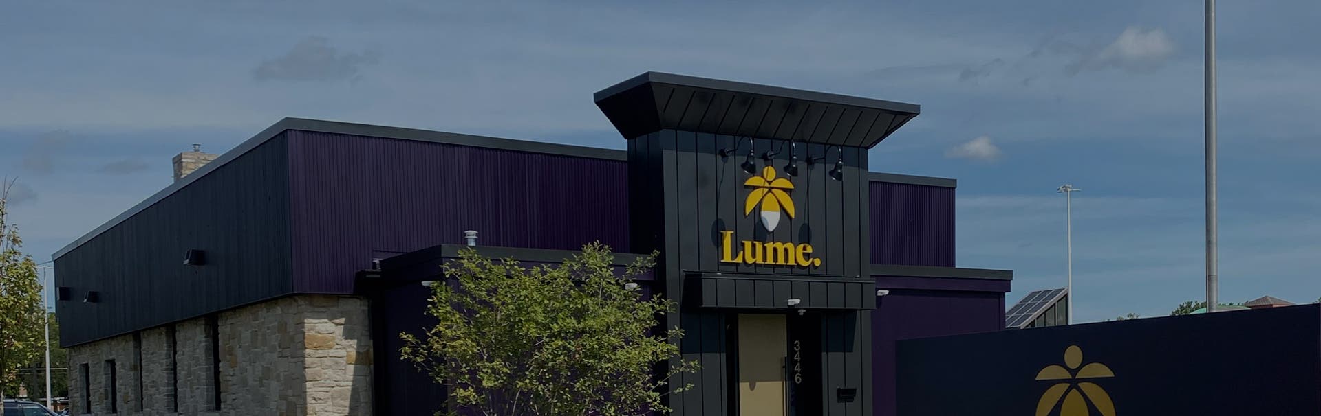 Saginaw mi dispensary
