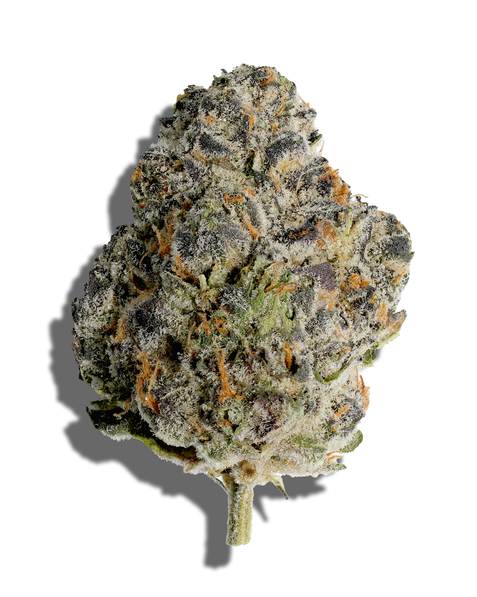 Sour Citrus Cookies 1oz, 1 of 3