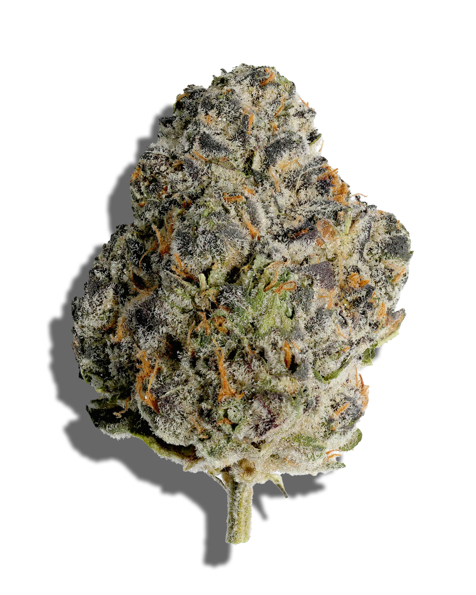 Sour Citrus Cookies 1oz