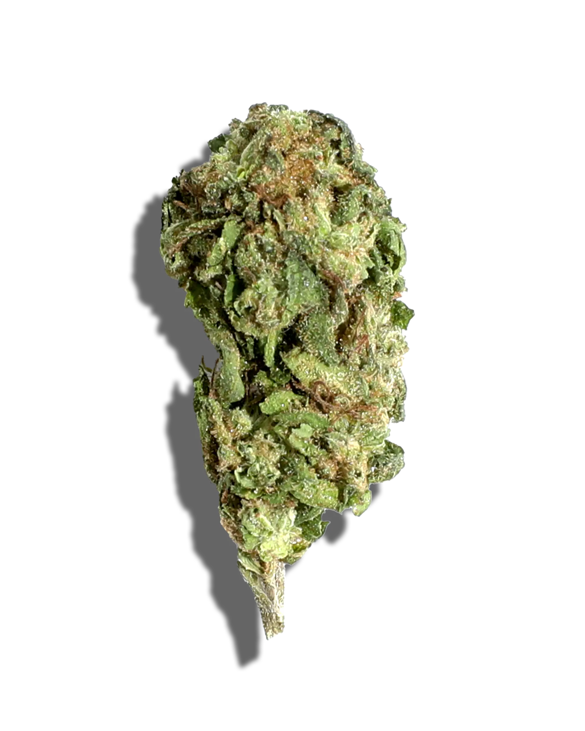 Sungrown Blue Andez 3.5g