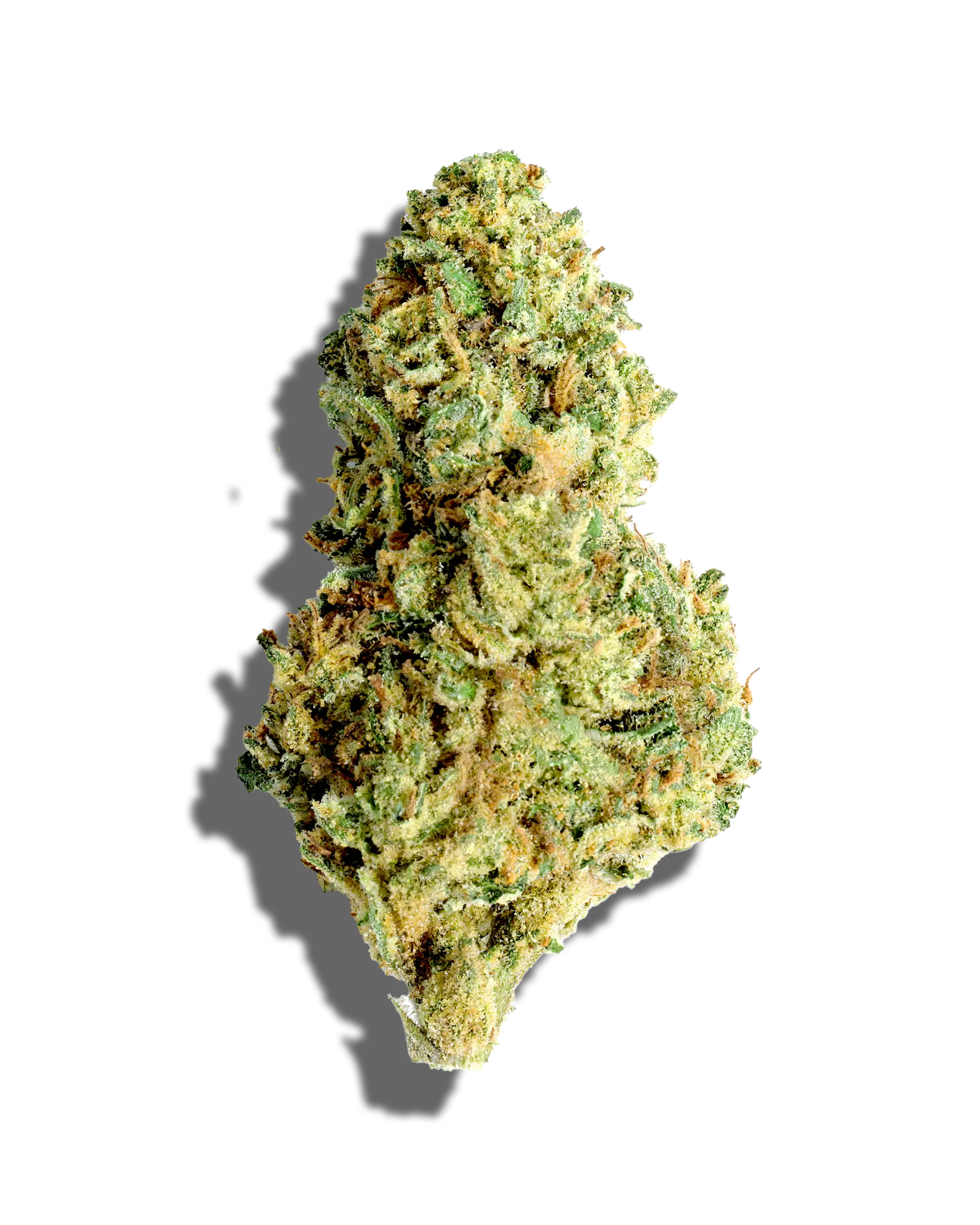 Sungrown Sour Cookie 3.5g