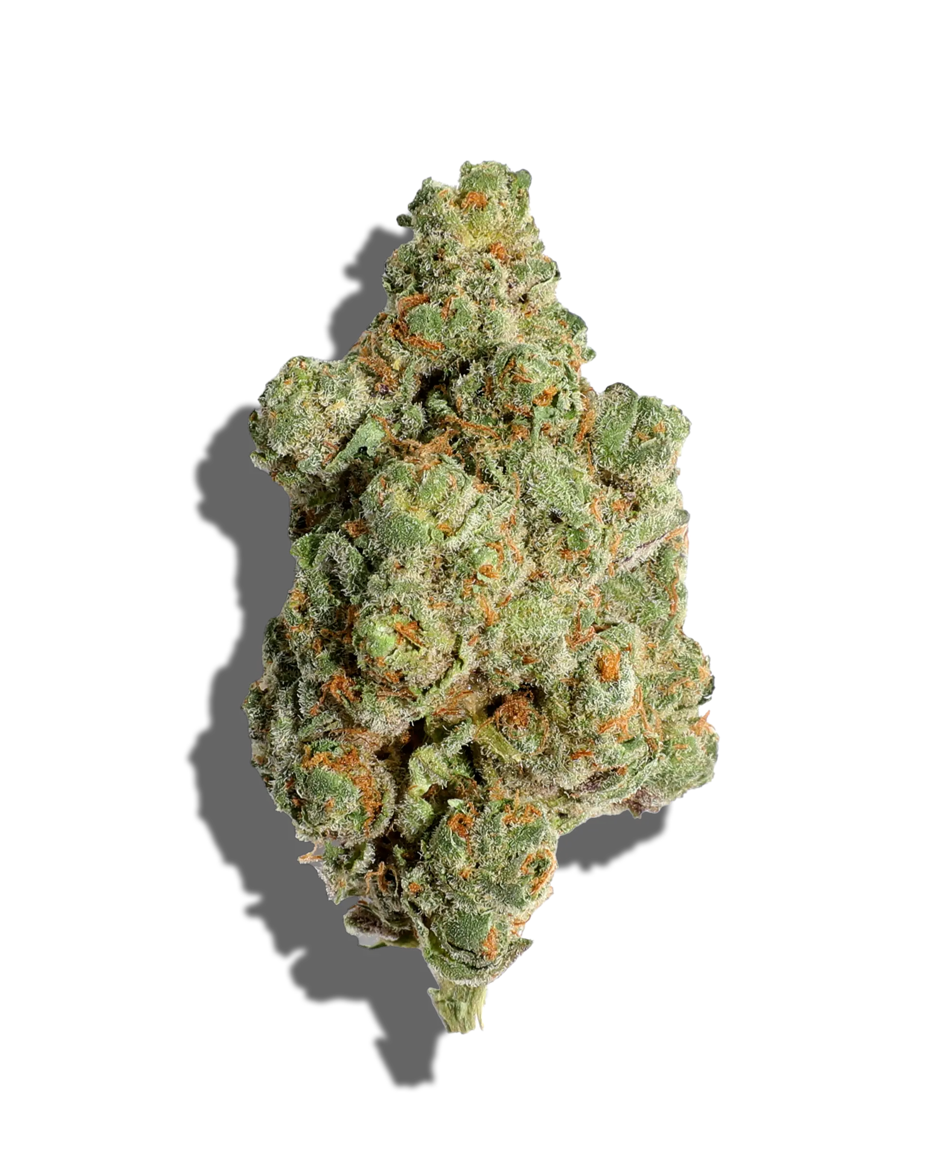 Lemon Cherry Gelato 3.5g