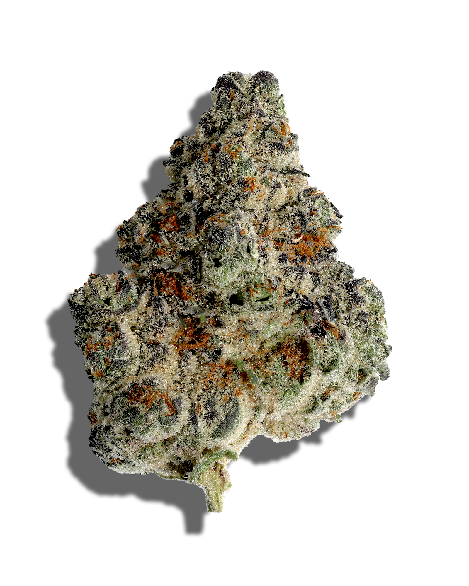 Glitter Bomb X Sweet Tea 1oz, 1 of 3