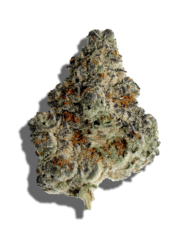 Glitter Bomb X Sweet Tea harvested flower, as labeled by the cited photo source