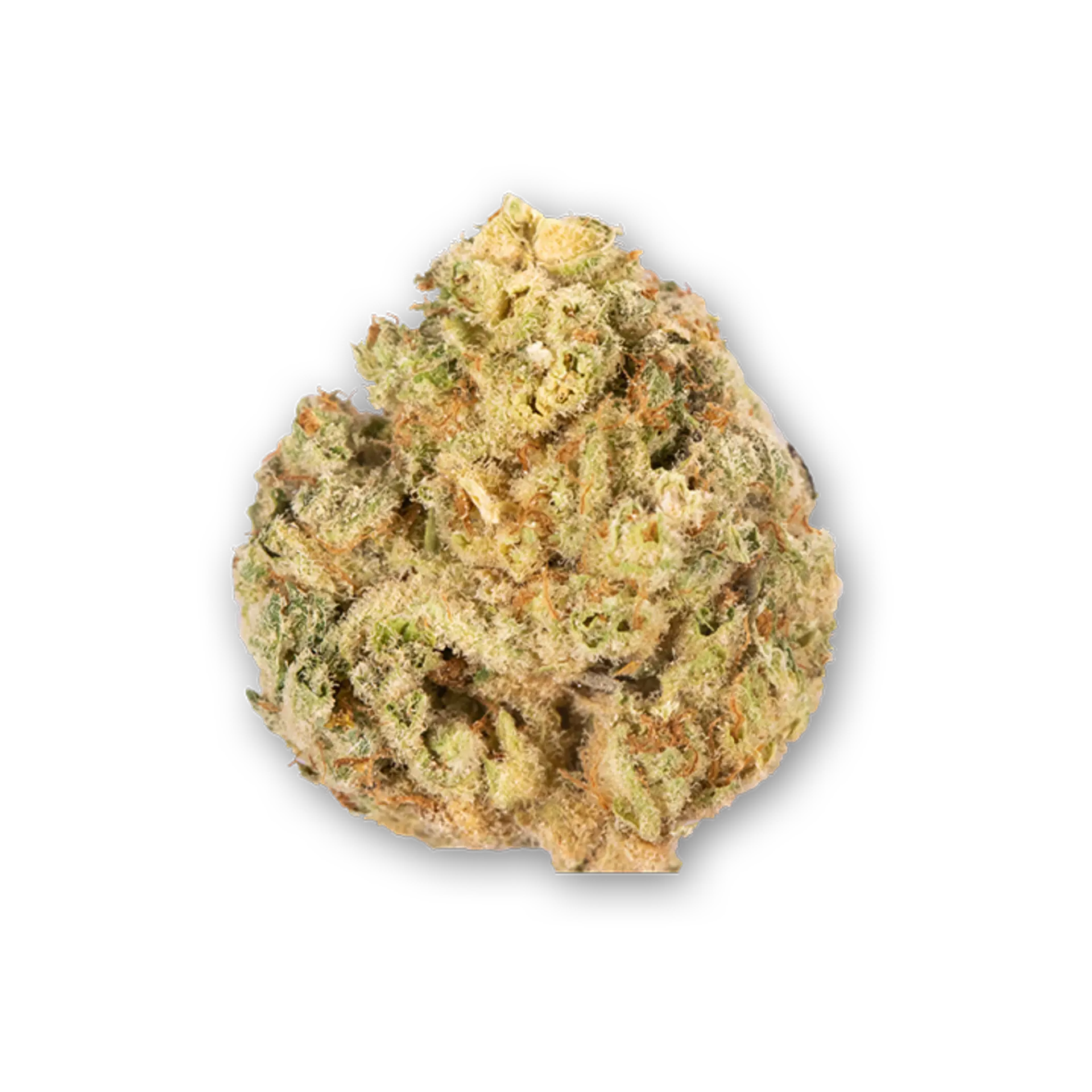Zombie Glue Flower