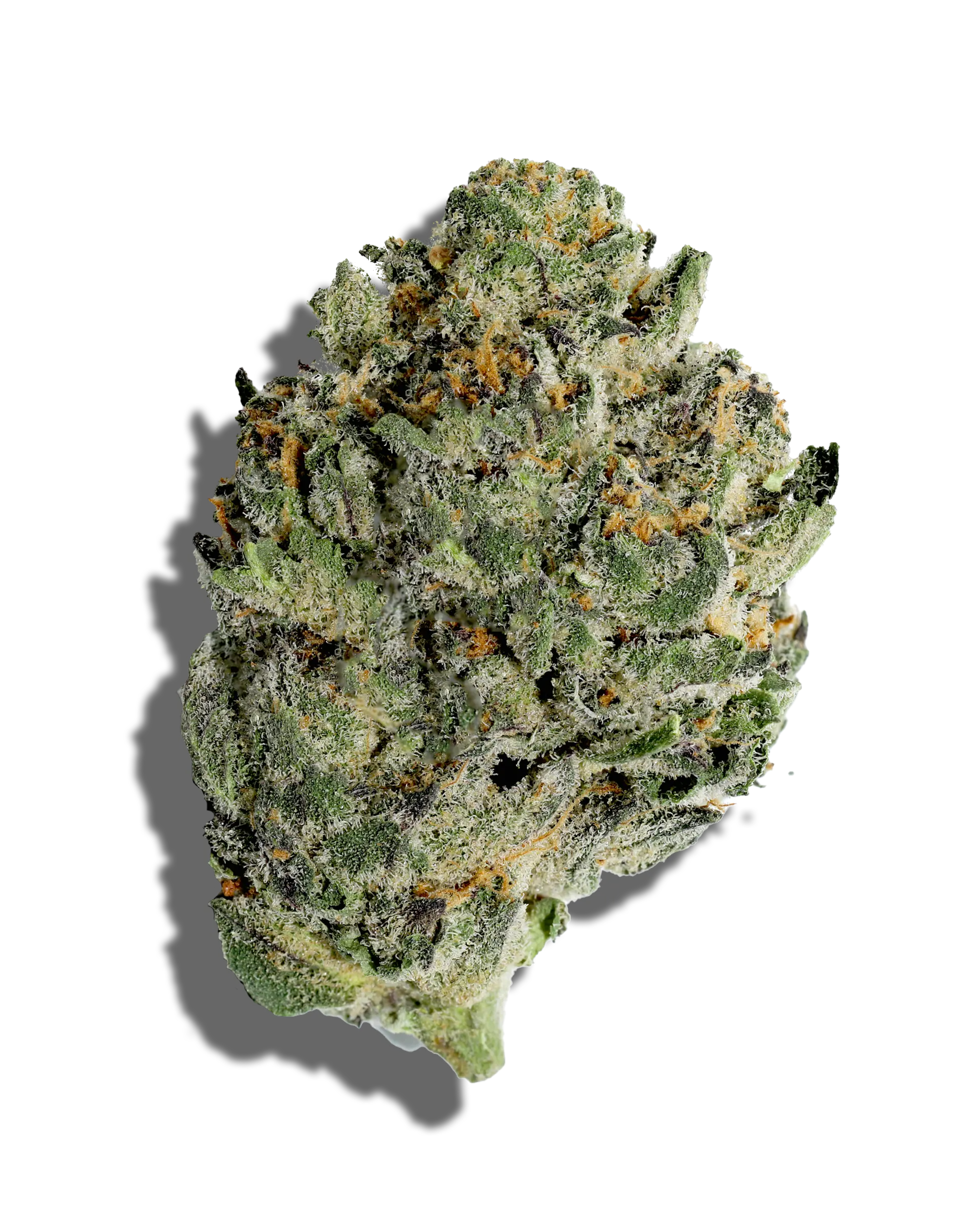 Tagalongz 1oz