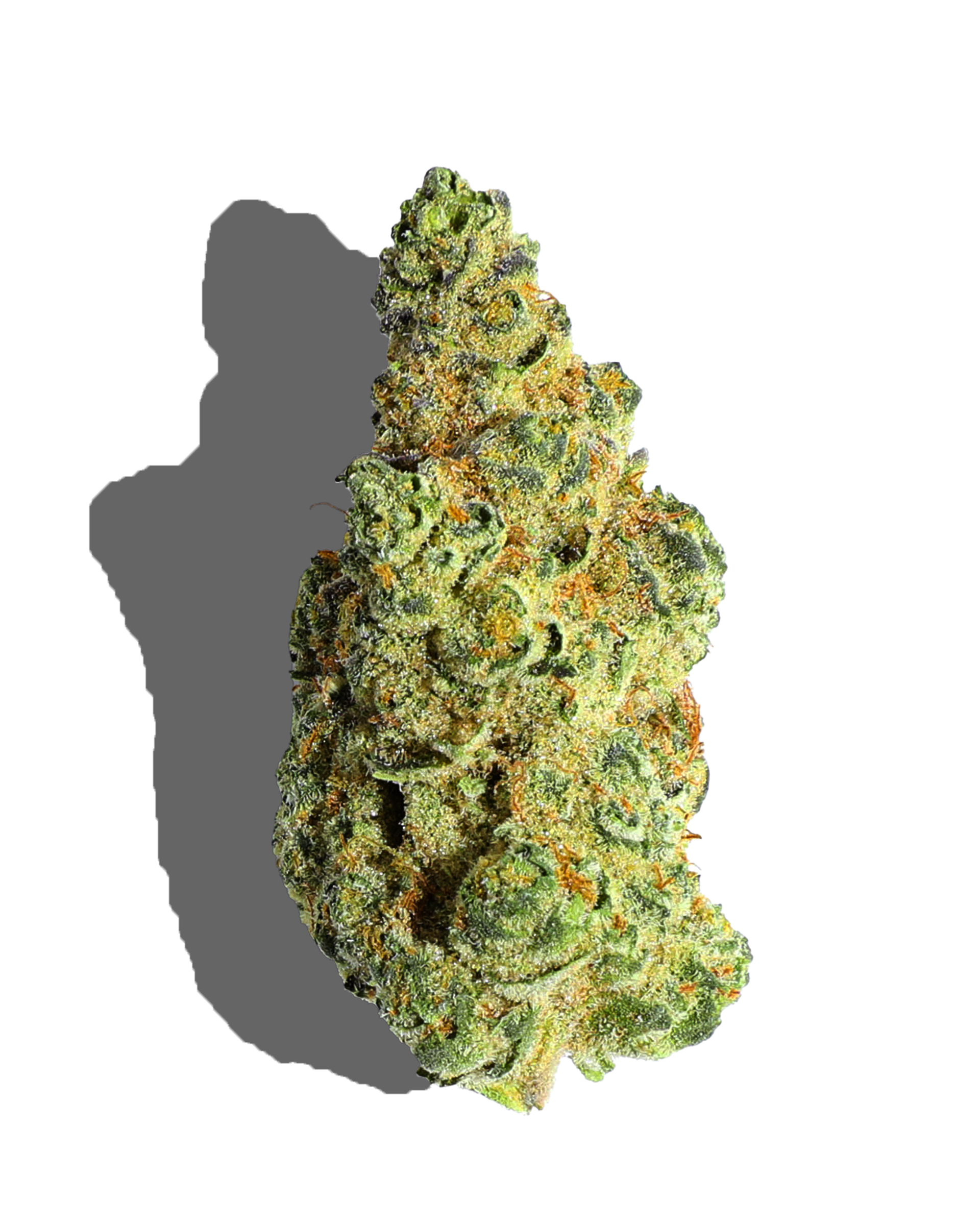 Creamberry Flower