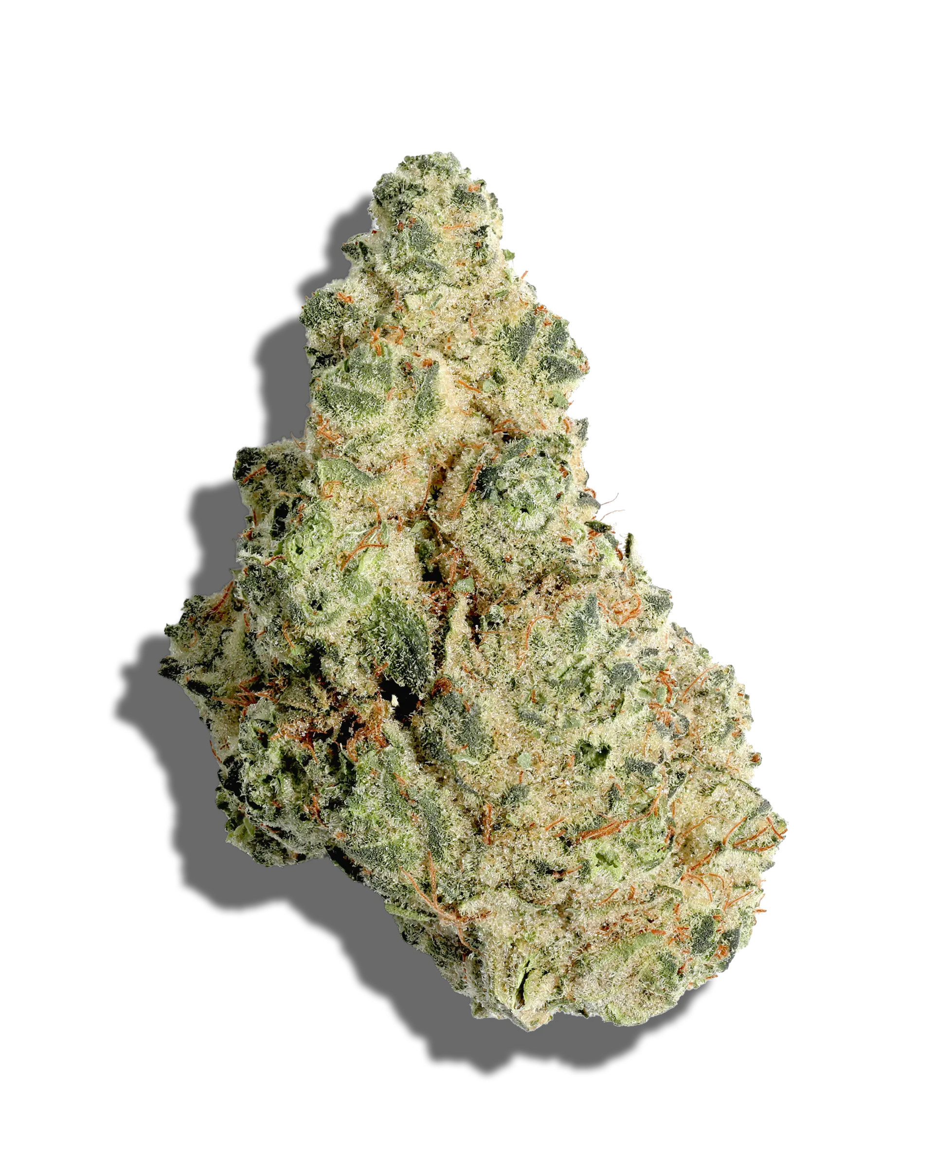 Gumbo Limbo #35 3.5g
