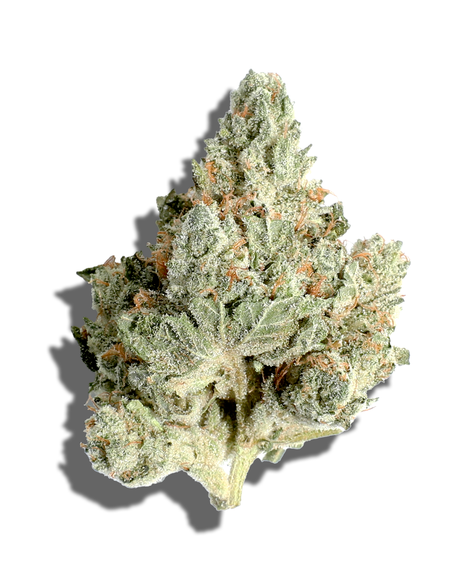 Gorilla Glue 3.5g, 1 of 3