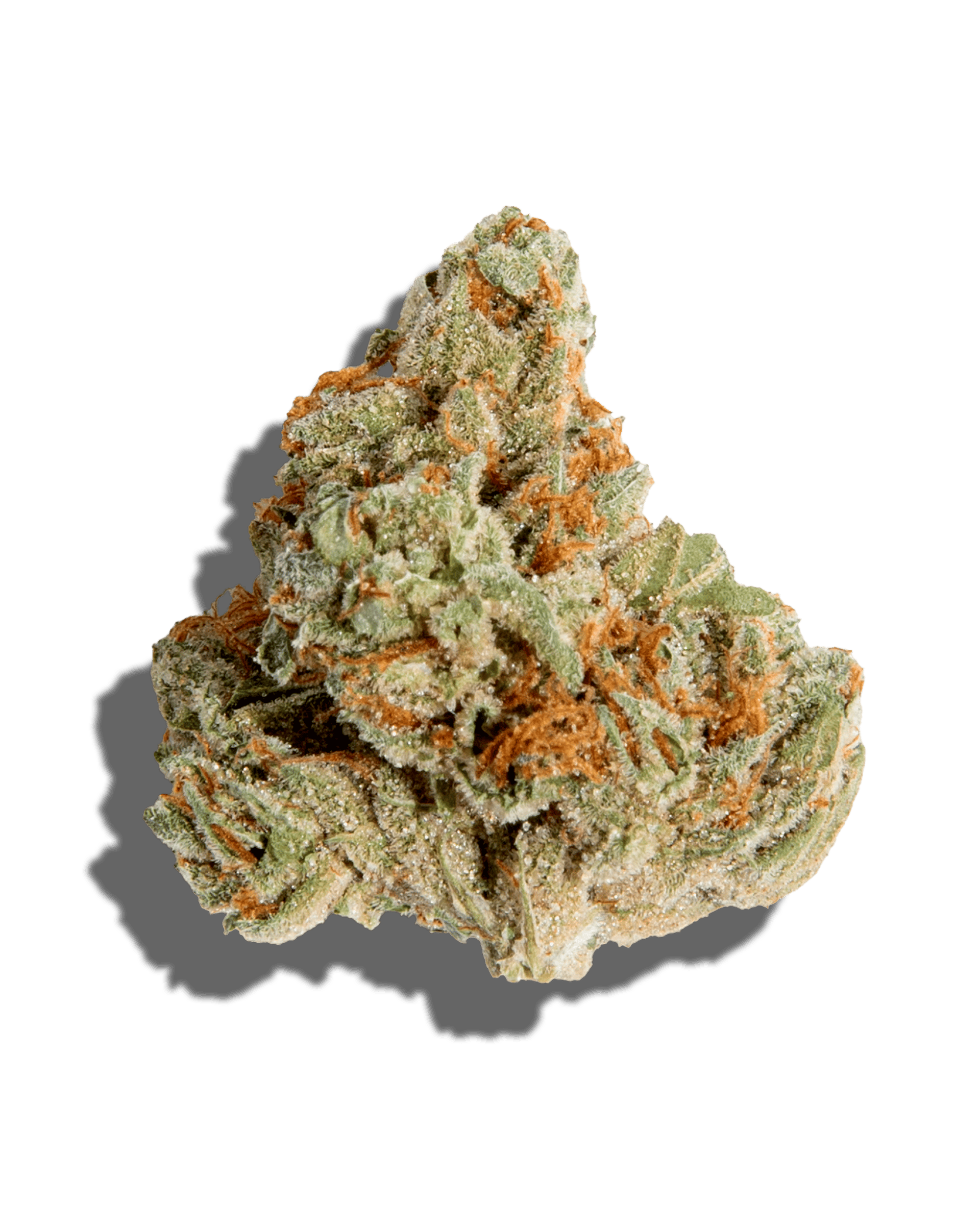 Deli - GG4 X Deathstar