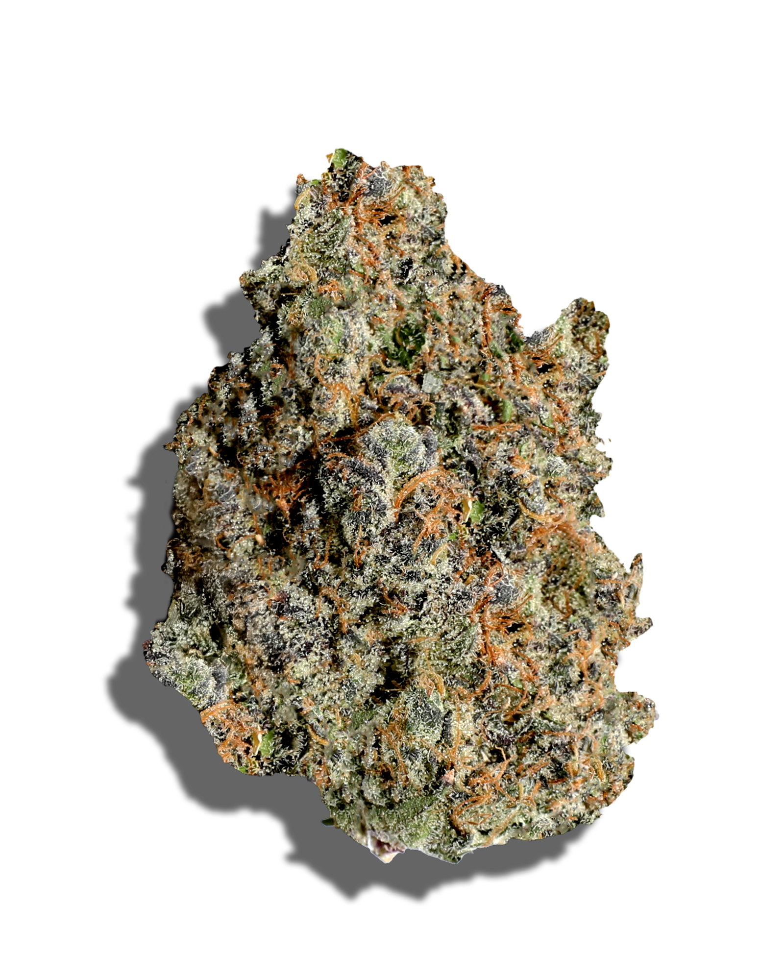 Chocolate Scotti 1oz, 1 of 3