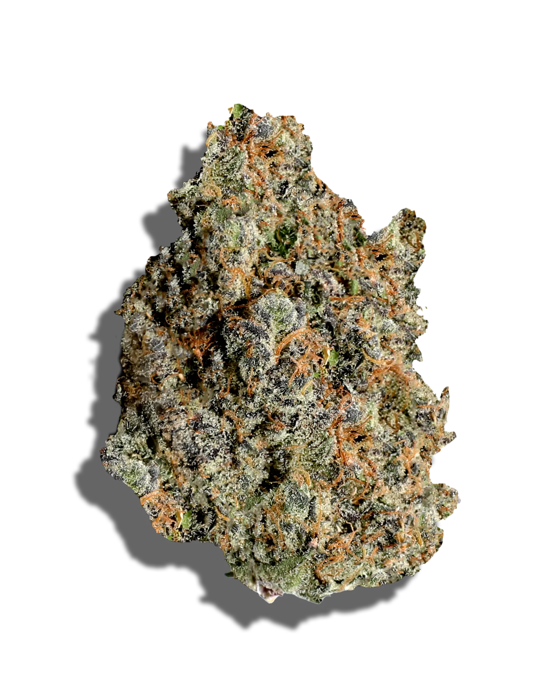 Chocolate Scotti 1oz