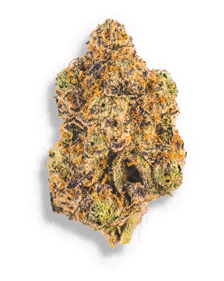 Gary Payton 3.5g, 2 of 2