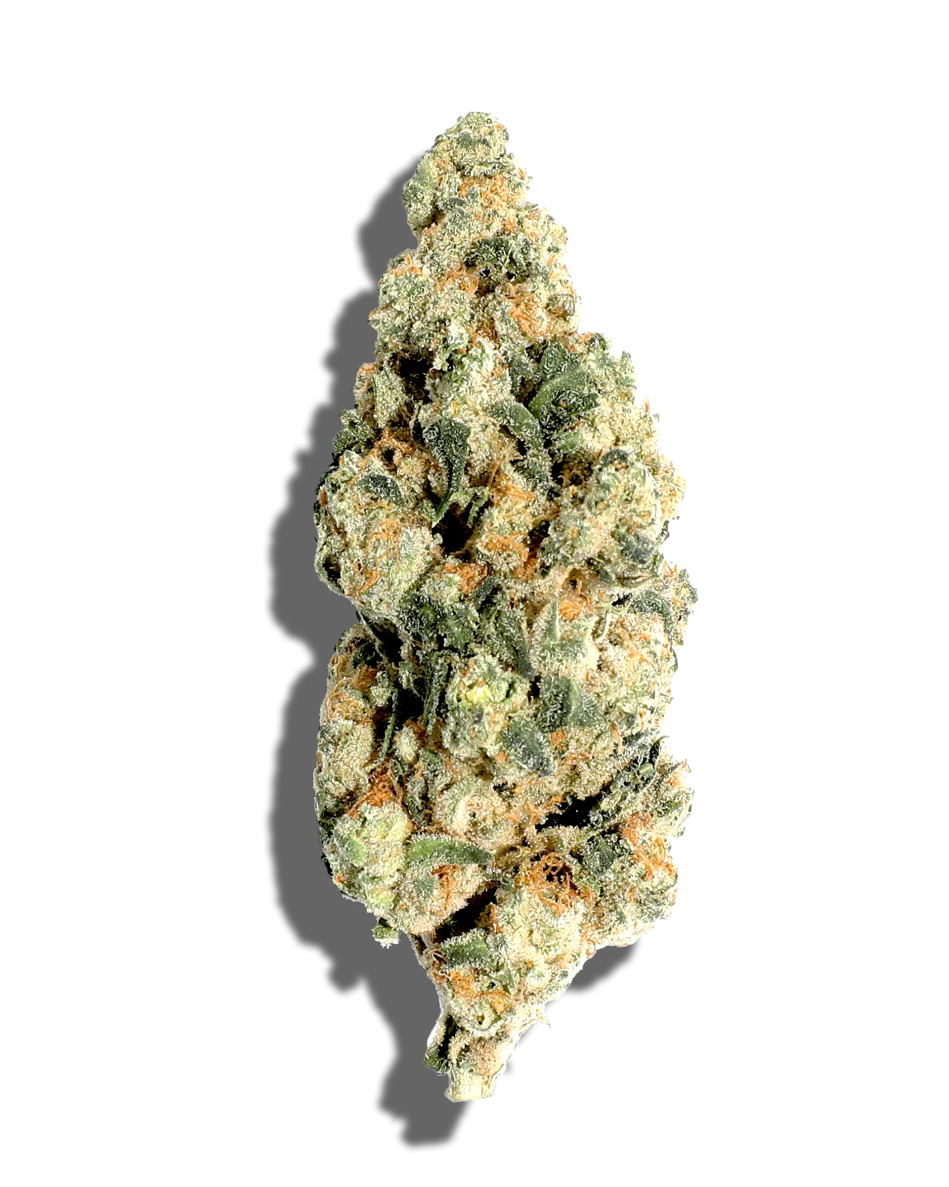 GMO X Guava Biscotti 3.5g