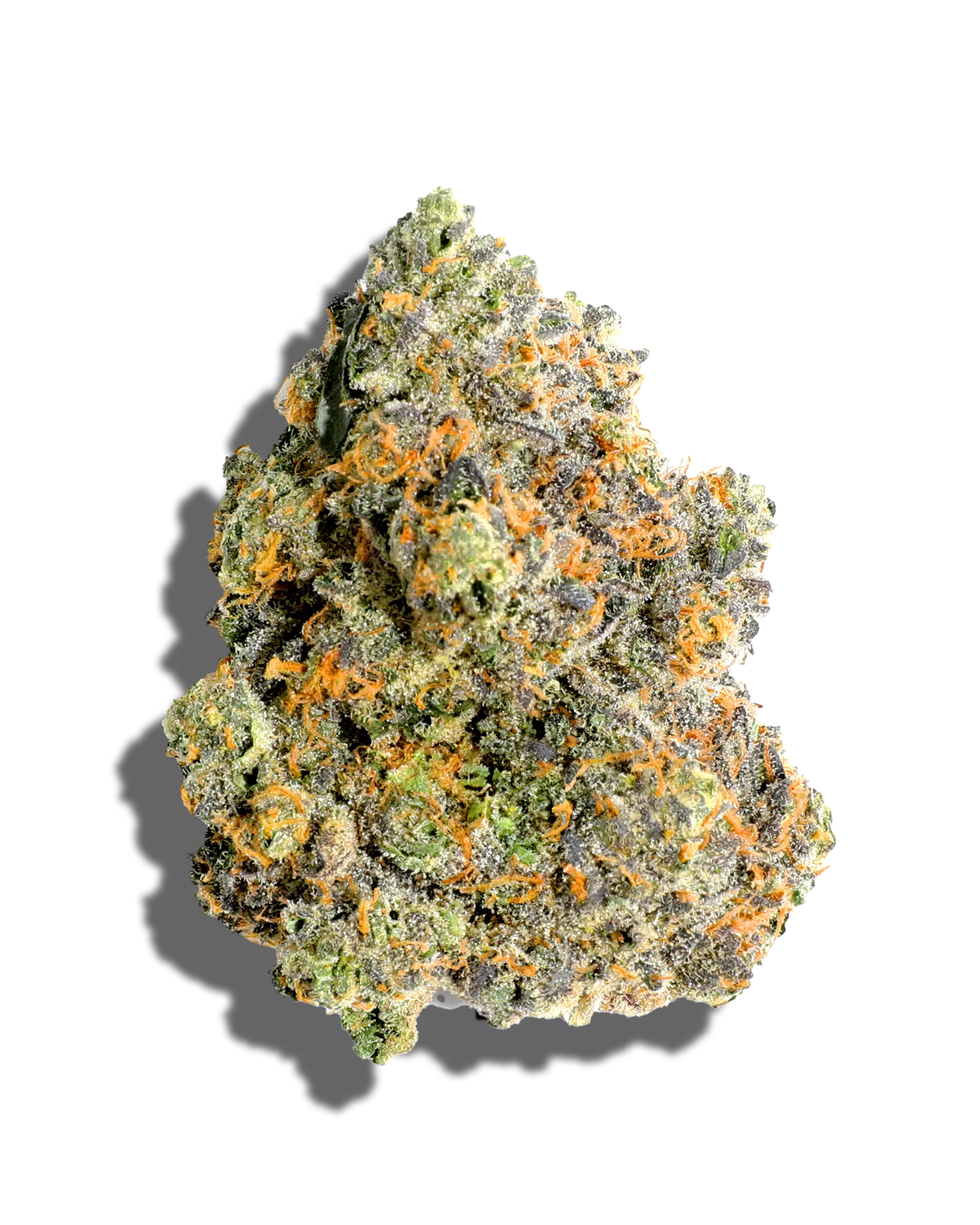 RS11 1oz