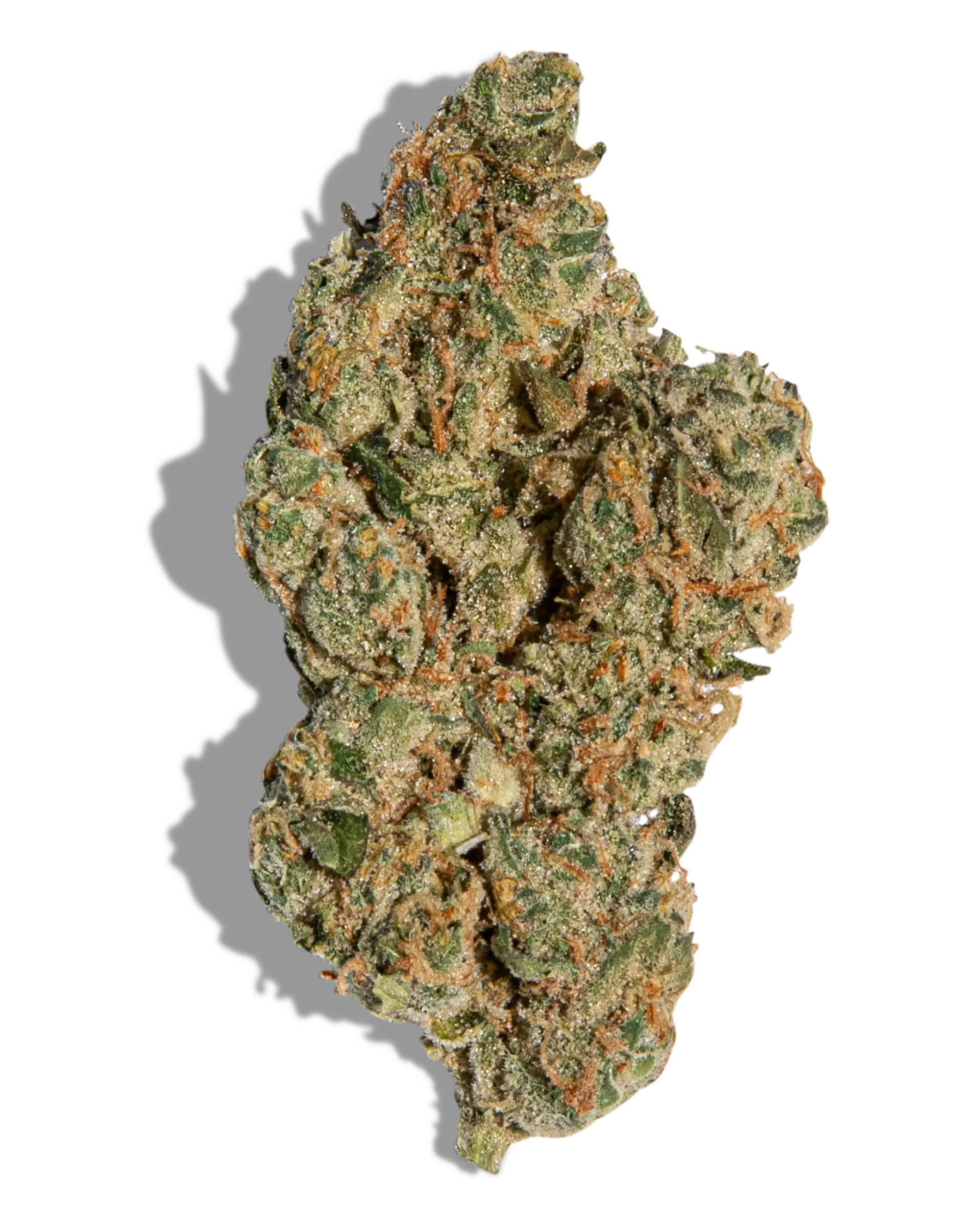 Terp Alert: GMO Cookies 3.5g