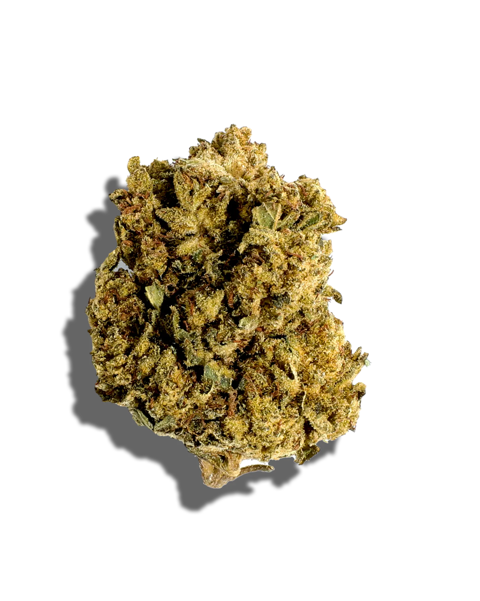 Sungrown Super Glue 3.5g