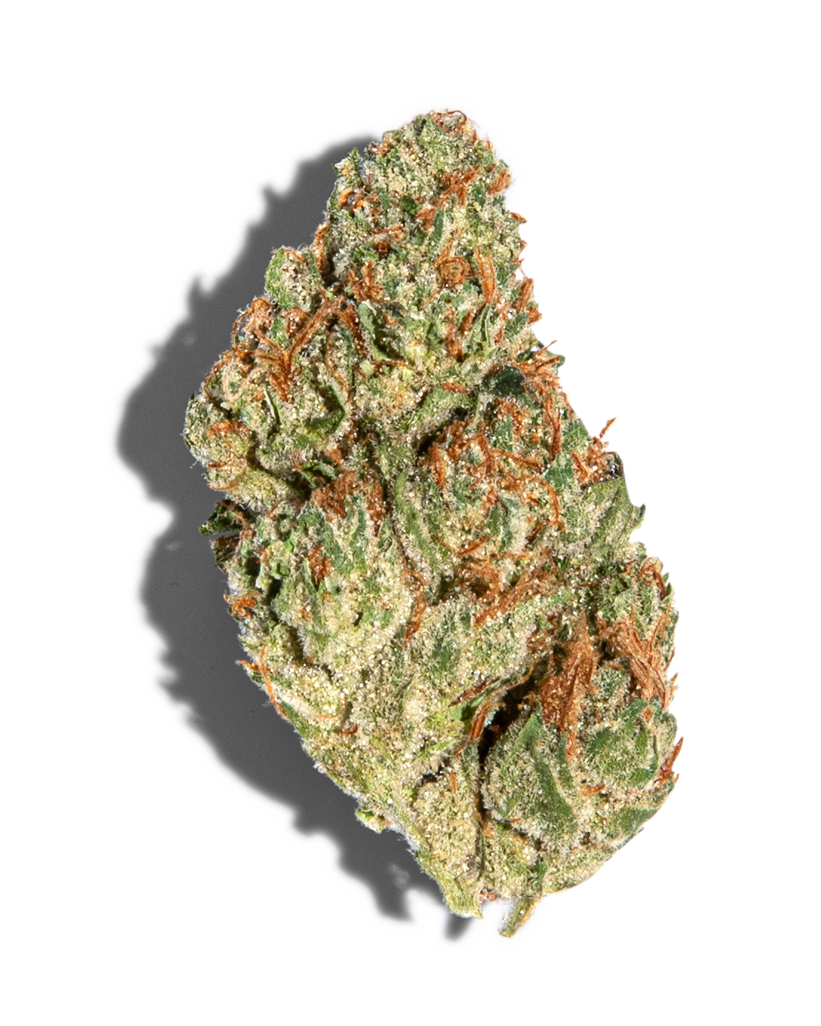 Blueberry crumble cannabis bud