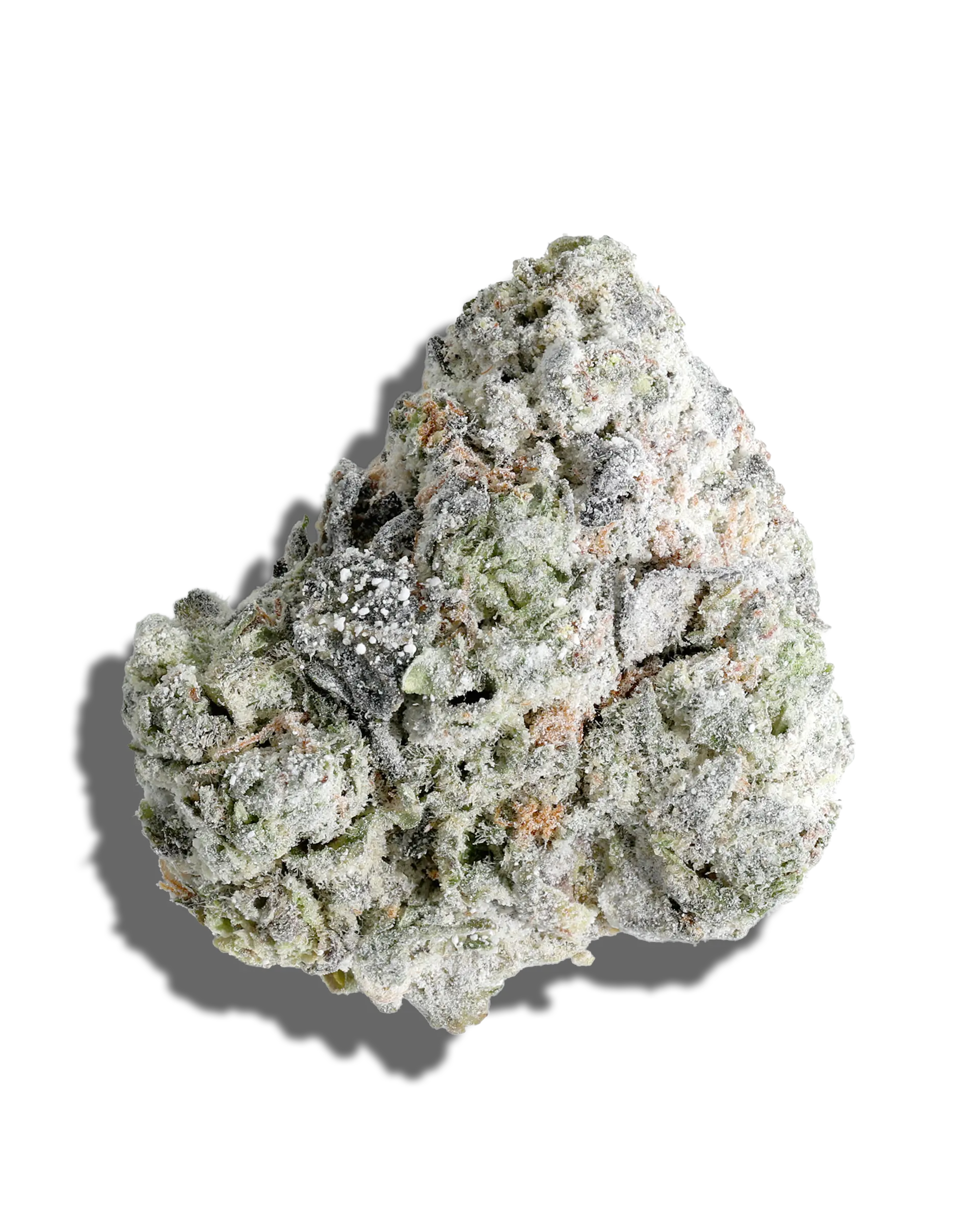 Jenny's Grape Jelly X Moonhowl Amp'd Live Resin Infused Flower 5g