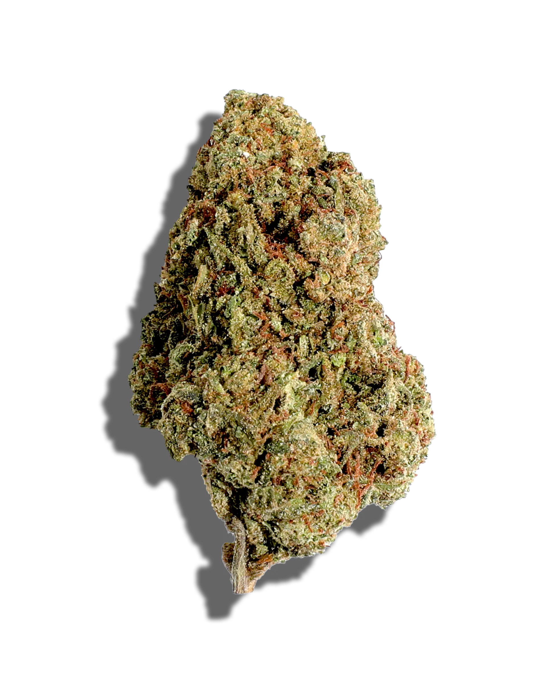 Sungrown San Fernando Valley Cookies 1oz