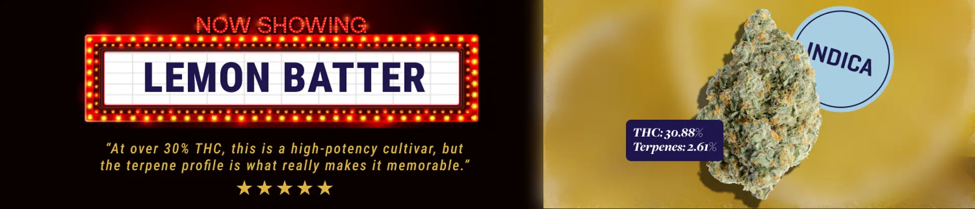 slimHeroDesktop_Oz-lemonbatter.png