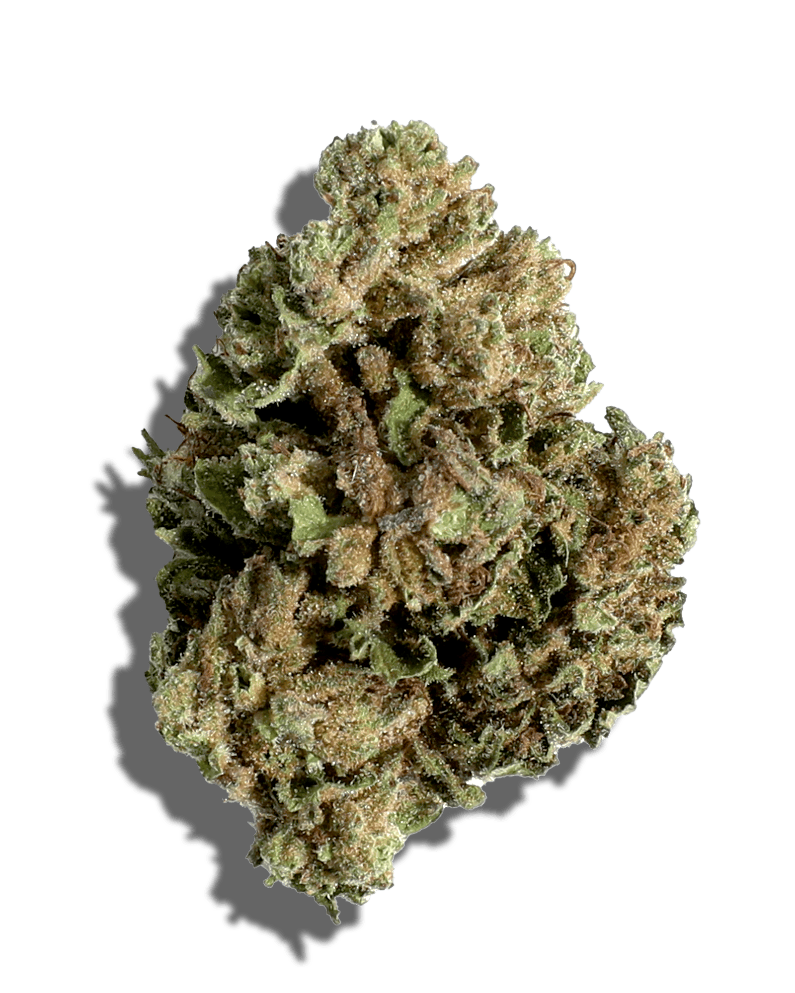 Sungrown Jelly Rancher 1oz