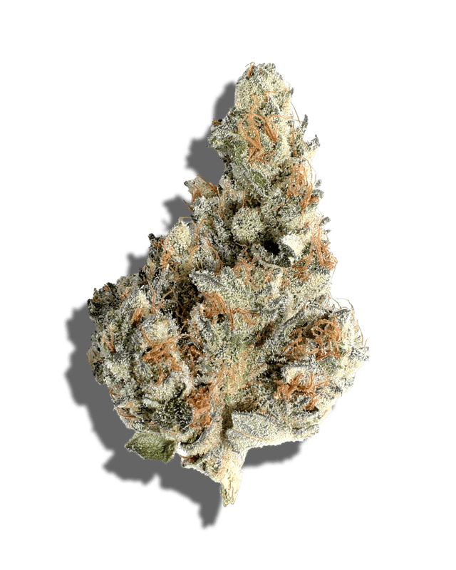 Sticky Ricky OG harvested flower, as labeled by the cited photo source