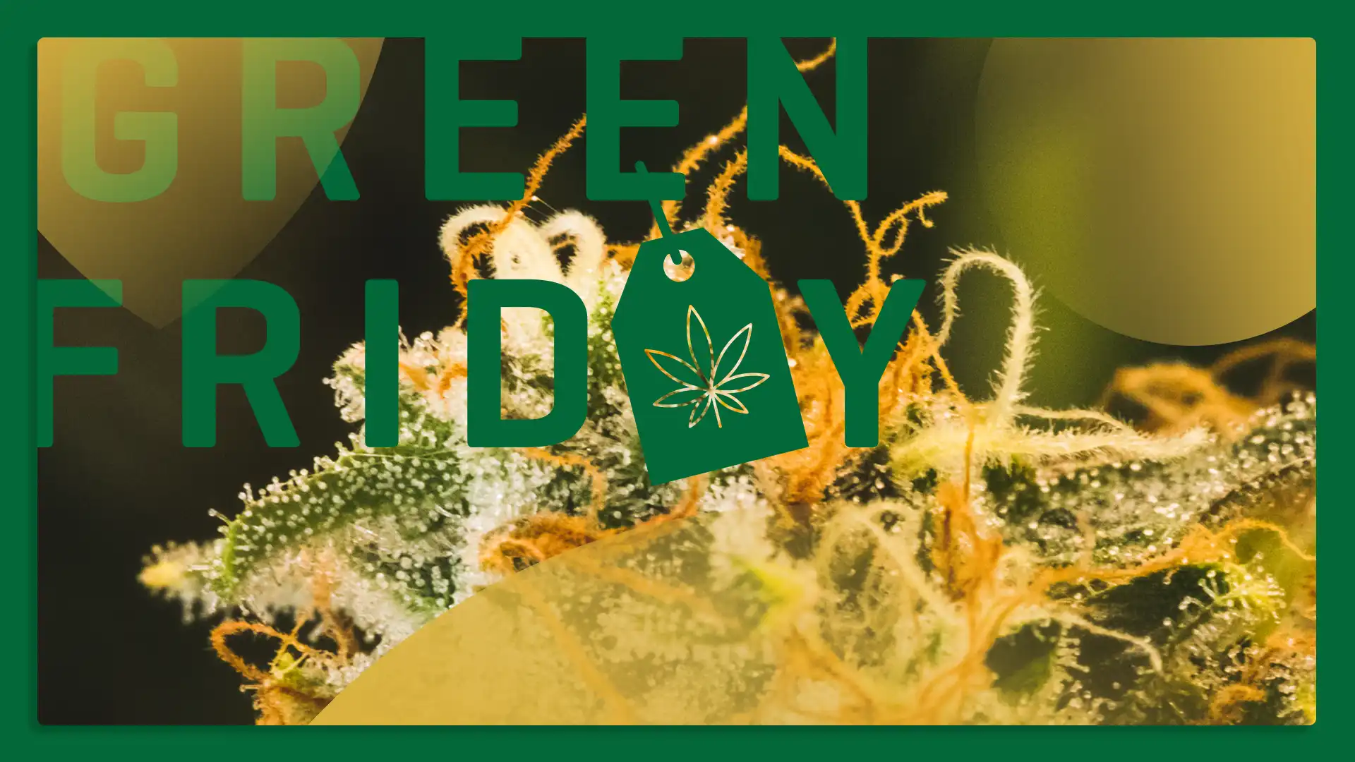 Green Fri Flower Sale!