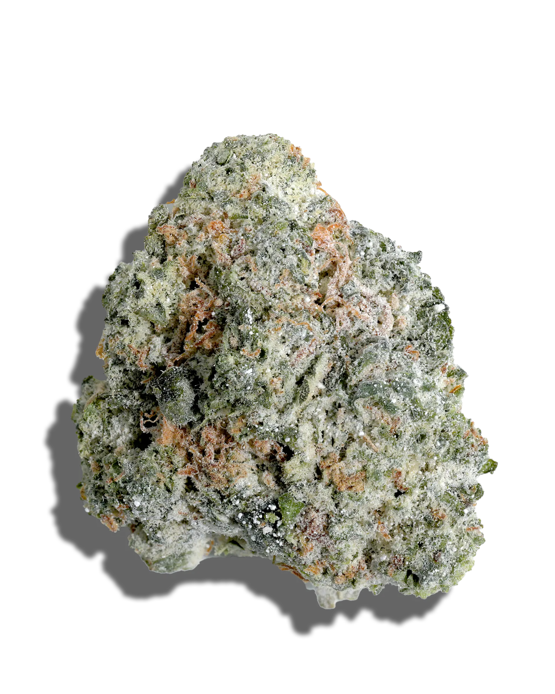 Bobby Wild X Gelato Amp'd Live Resin Infused Flower 5g
