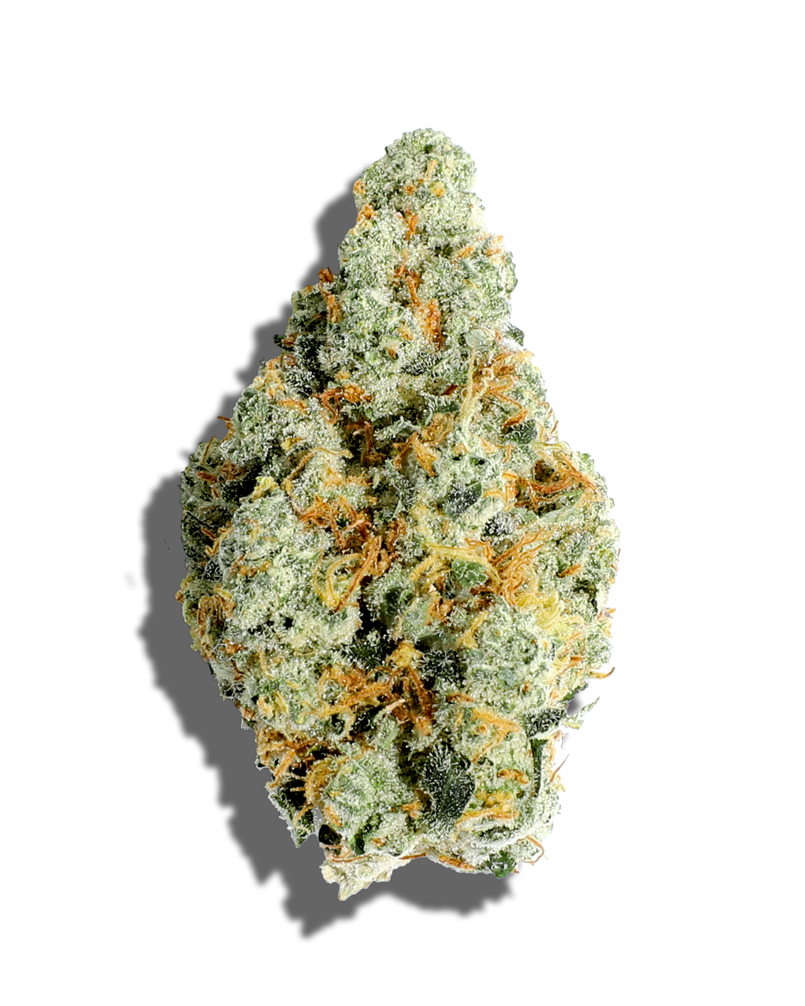 Grease Bucket 1oz, 1 of 3