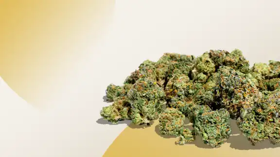 1/8ths for Only $15!